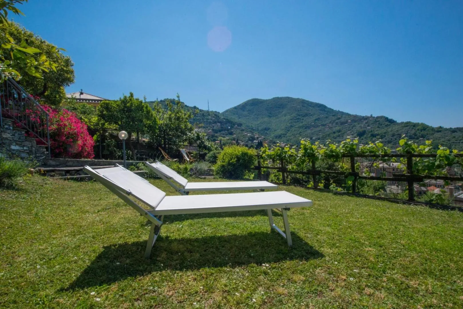 Garden in Le Clementine B&B