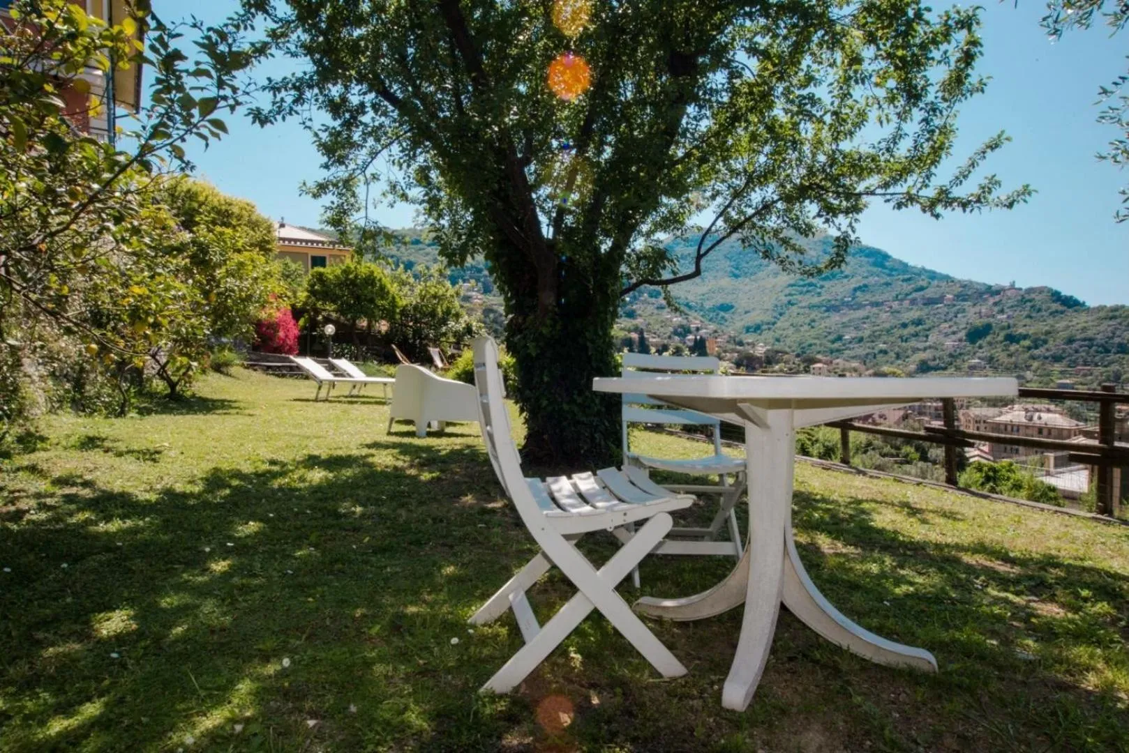 Garden in Le Clementine B&B