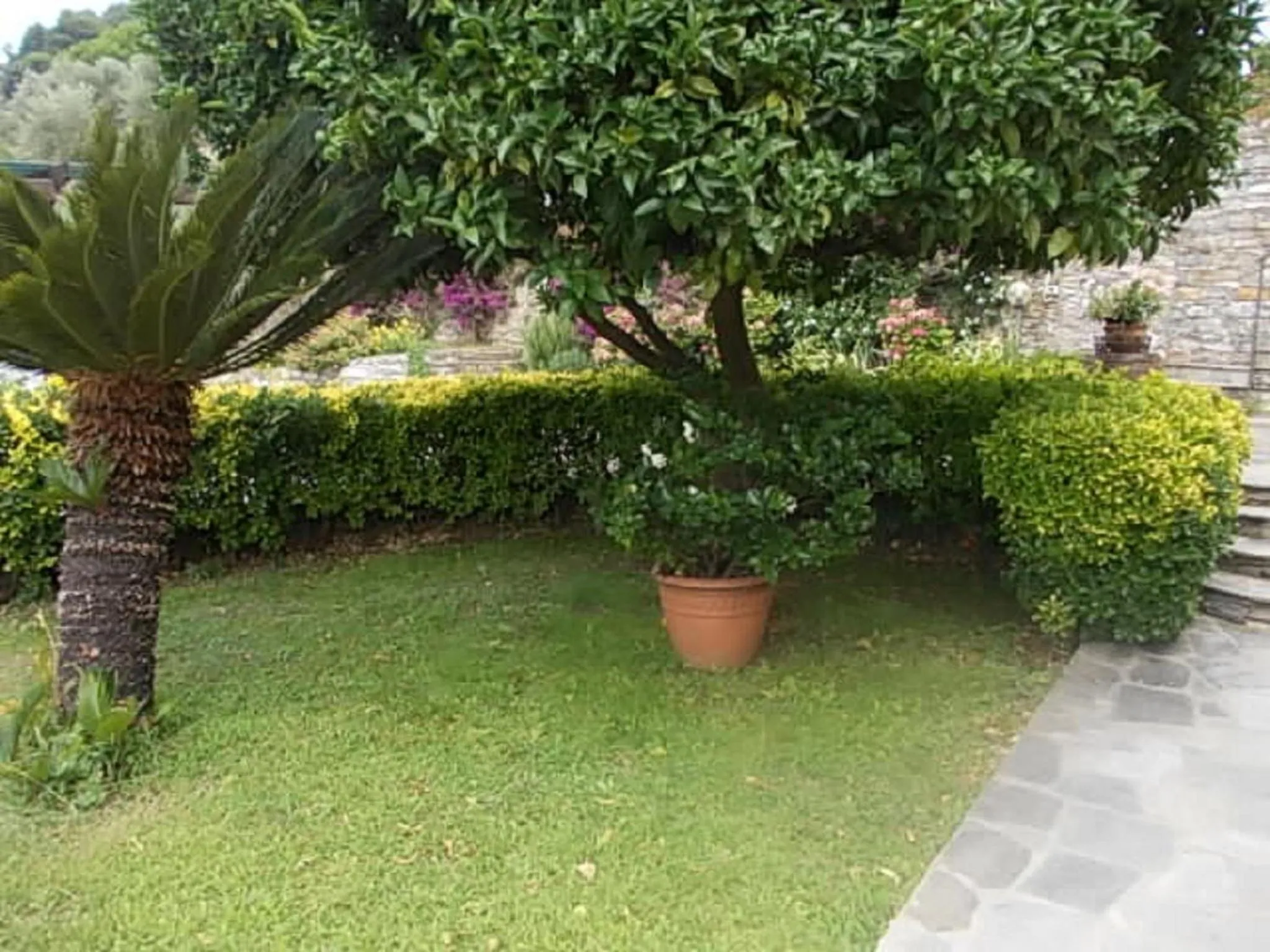 Garden in Le Clementine B&B