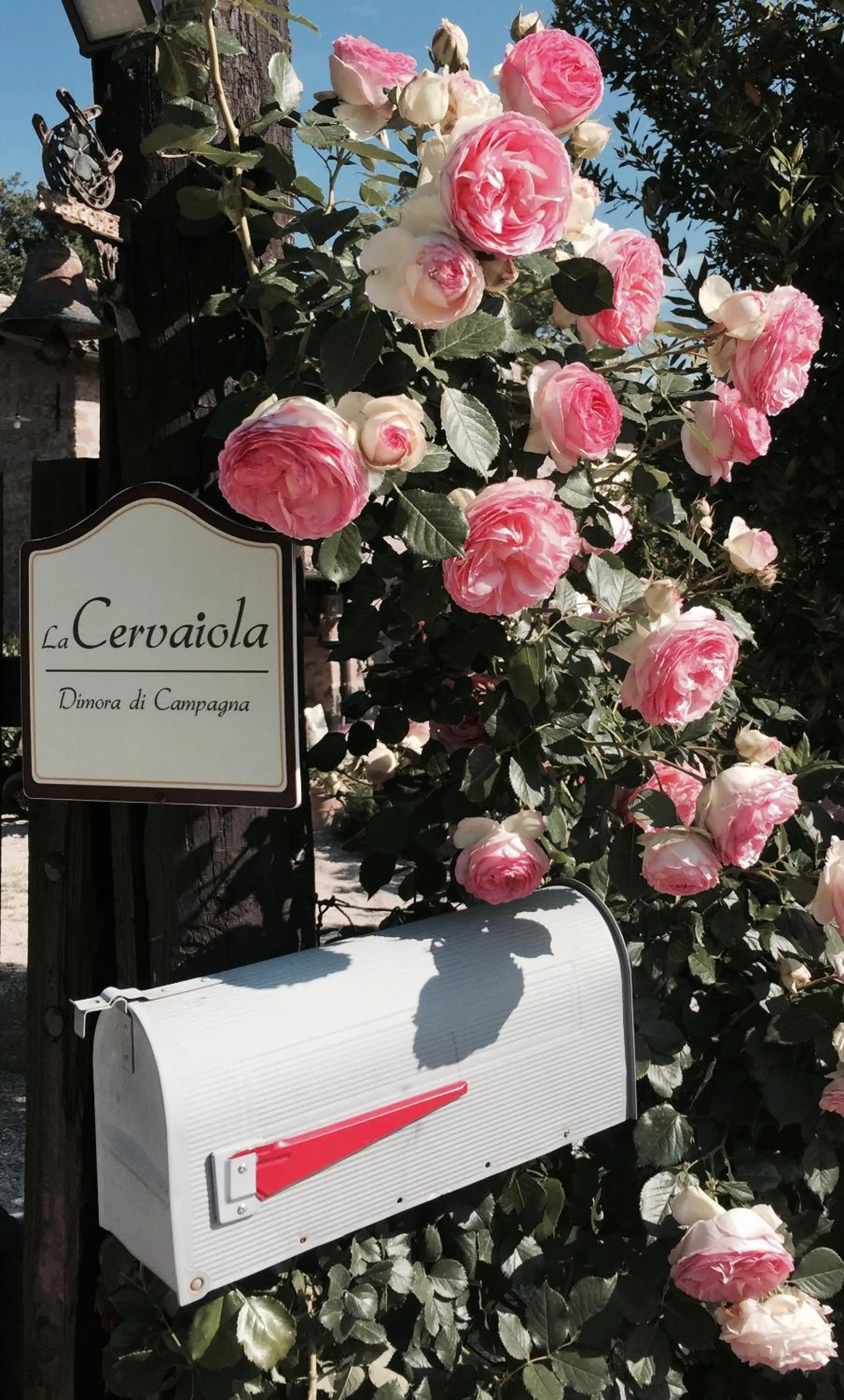 Decorative detail in Agriturismo La Cervaiola Piccola dimora di Campagna