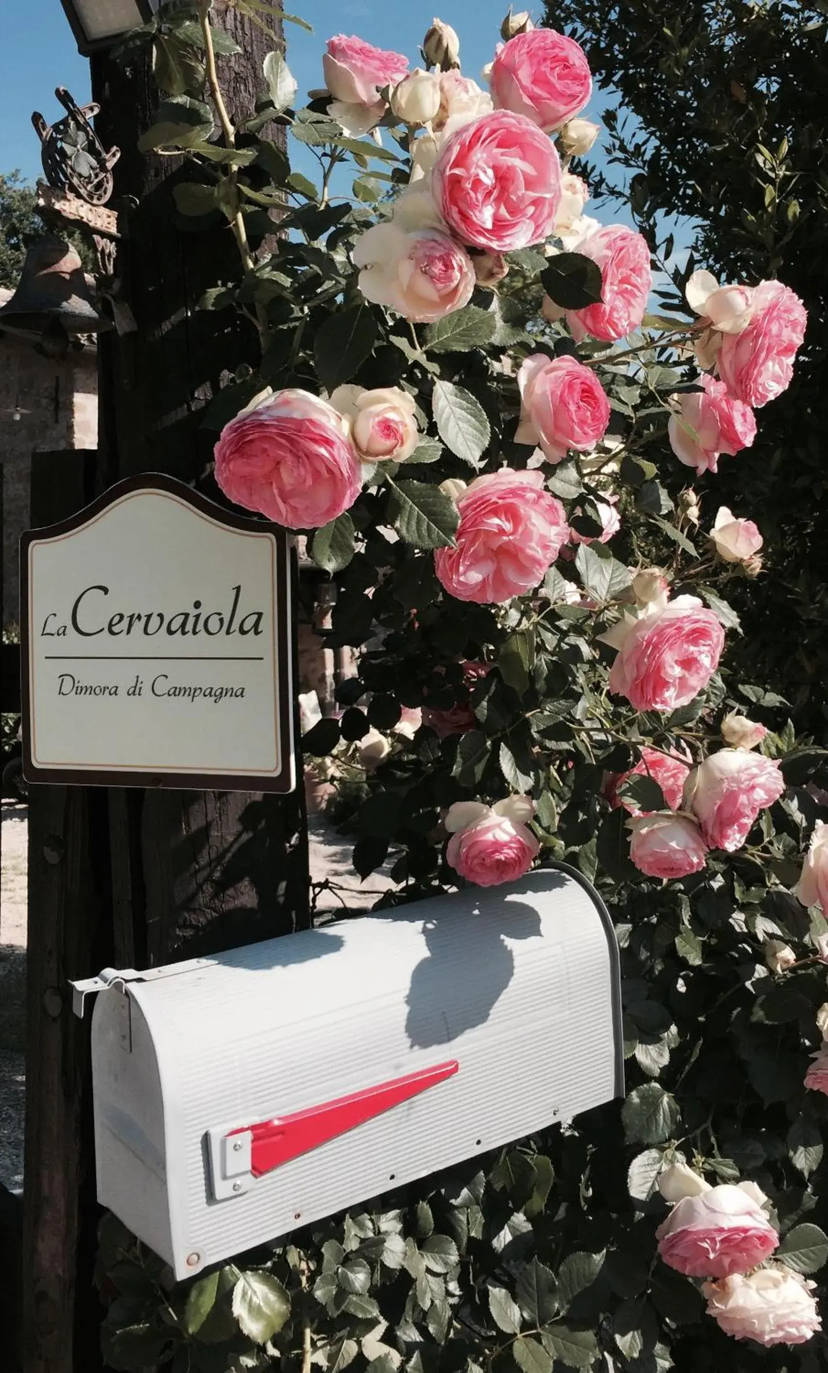 Maisonette in Agriturismo La Cervaiola Piccola dimora di Campagna Maisonette in Agriturismo La Cervaiola Piccola dimora di Campagna