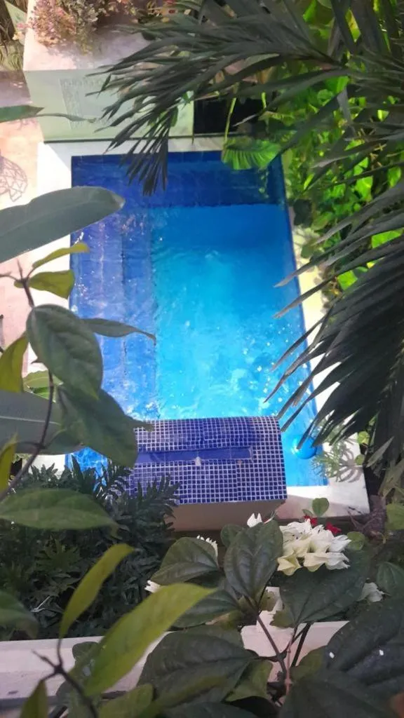 Garden view in Hotel Boutique Ana Lorenza