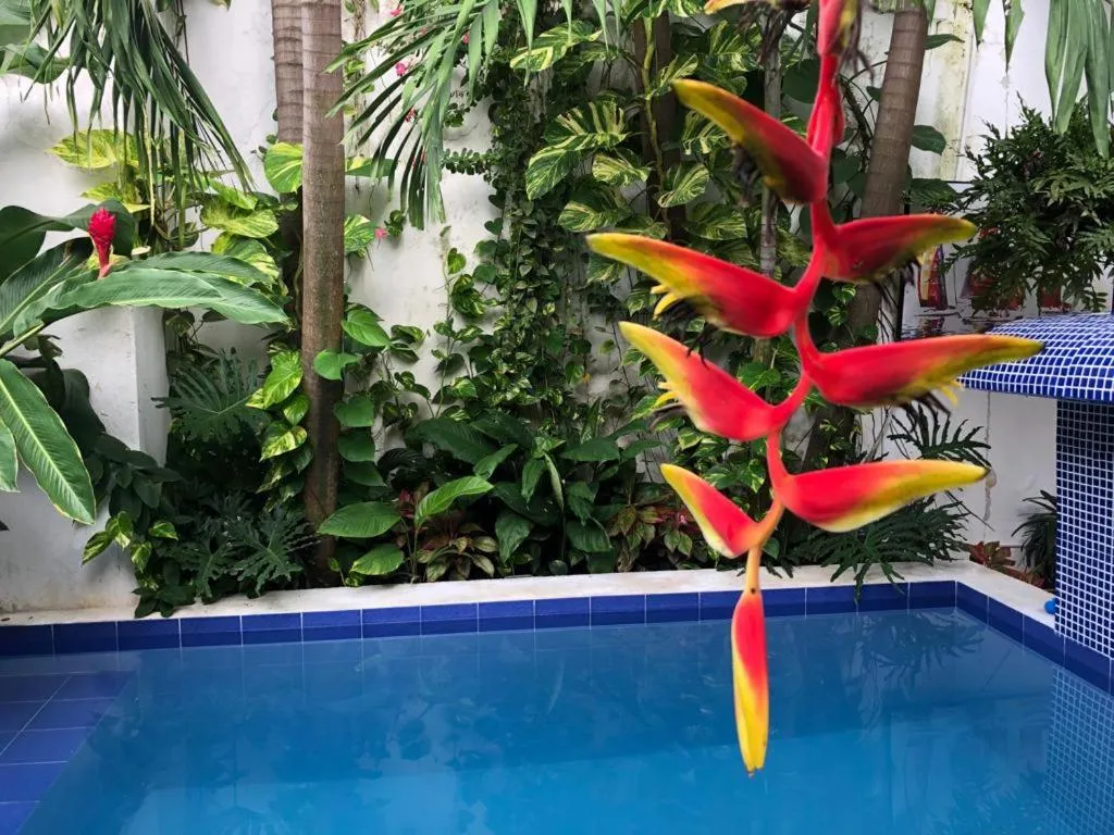 Garden in Hotel Boutique Ana Lorenza