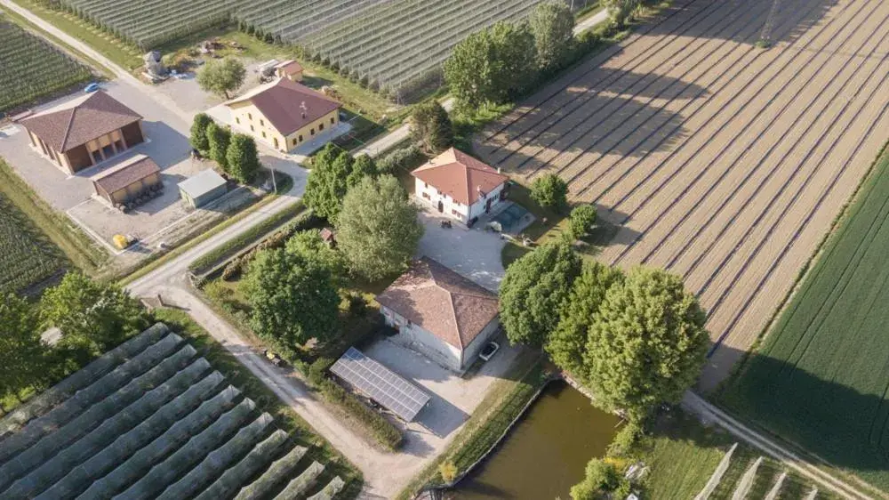 Agriturismo il Bio Nonno Agriturismo il Bio Nonno