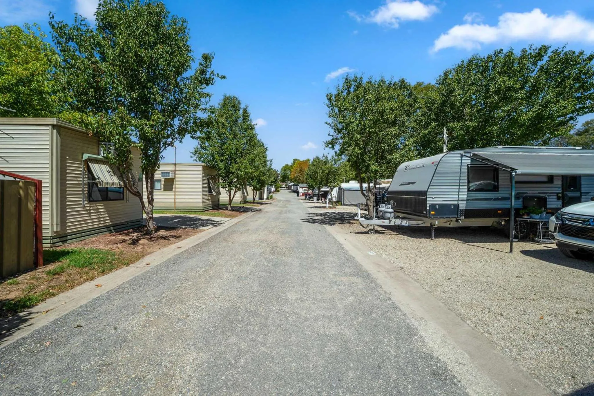 Natural landscape in Albury Holiday Park