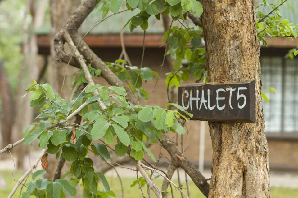 Decorative detail in Woodlands Lilongwe