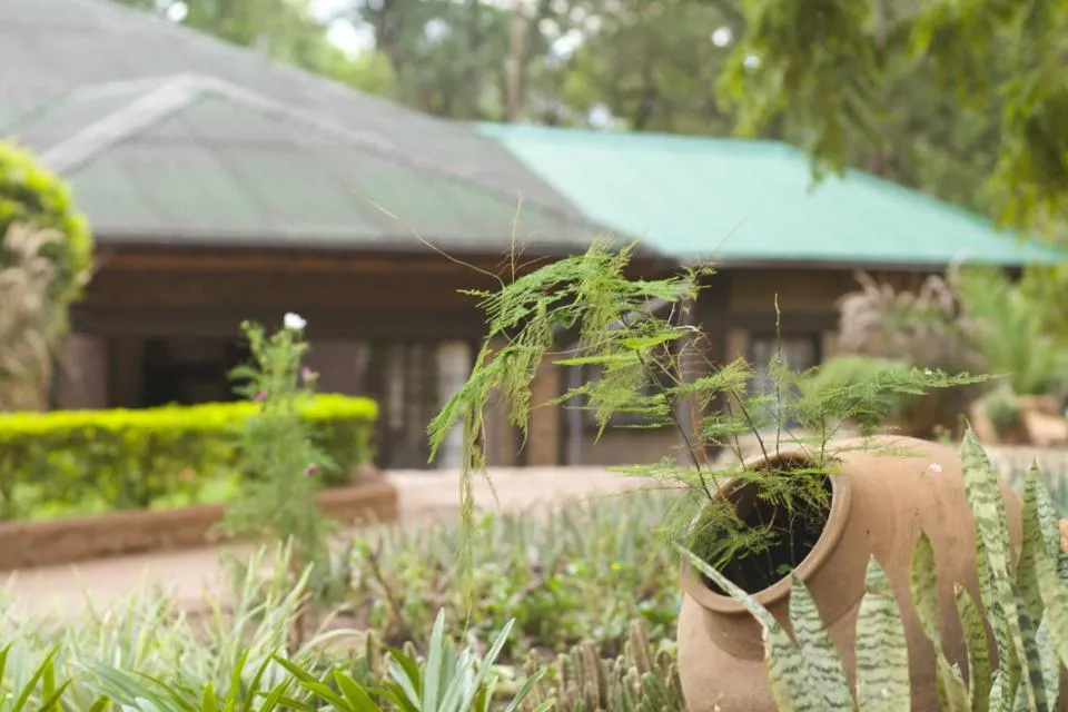 Decorative detail in Woodlands Lilongwe