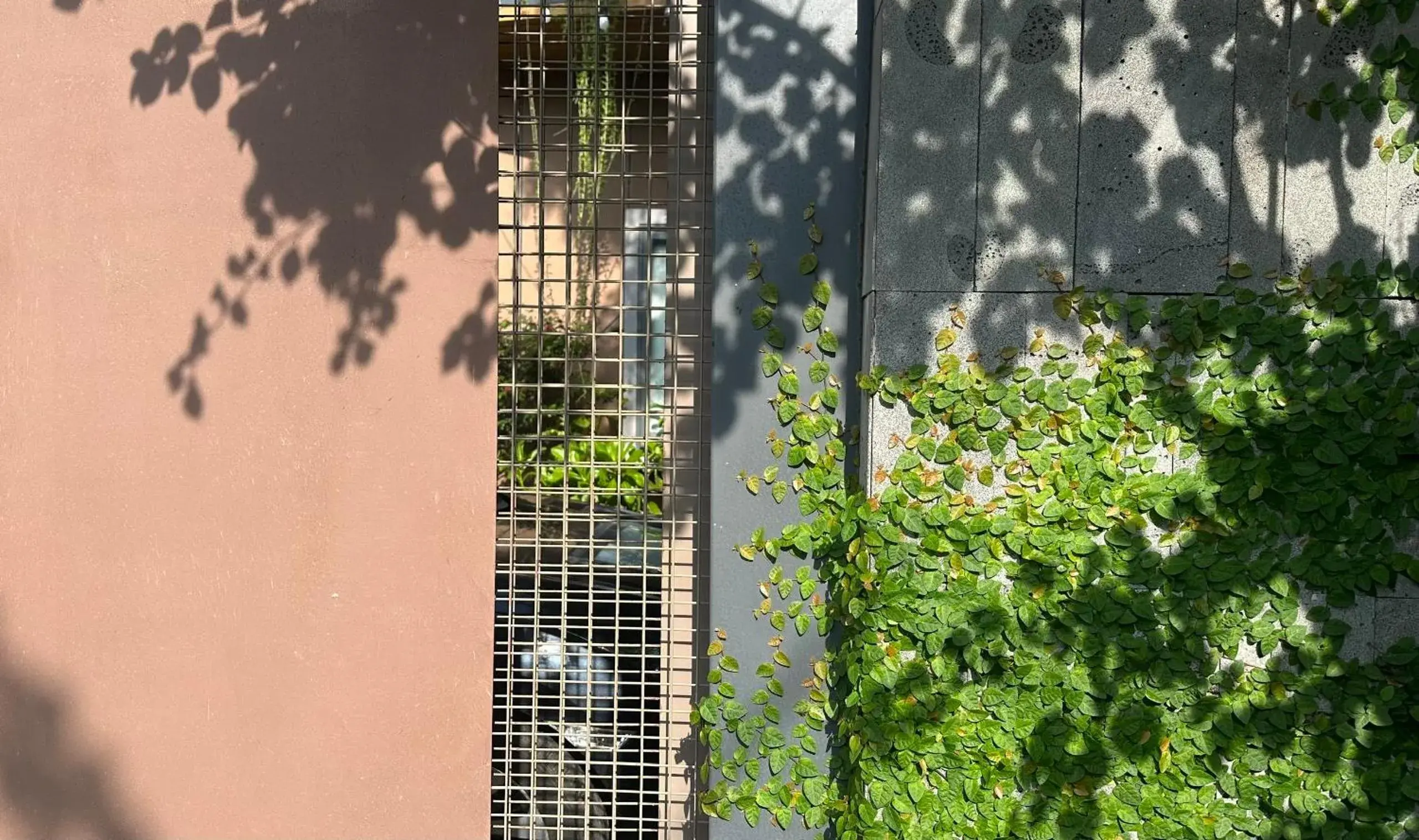 Street view in Vanilla Ho Tram Homestay Street view in Vanilla Ho Tram Homestay