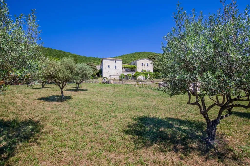 Natural landscape in Chambre d'hôtes, Mas de Louise