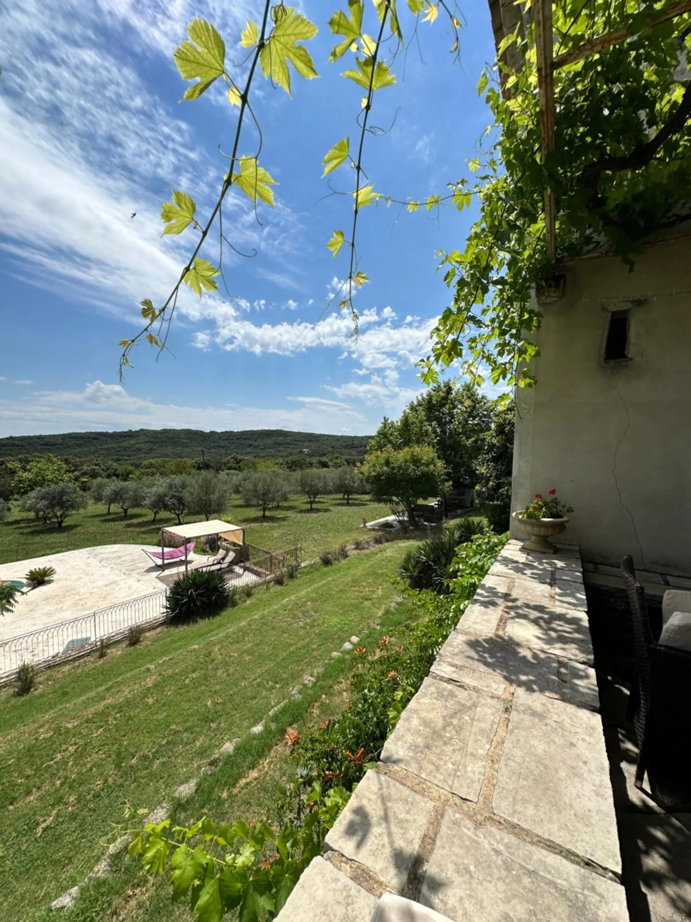 Swimming pool in Chambre d'hôtes, Mas de Louise