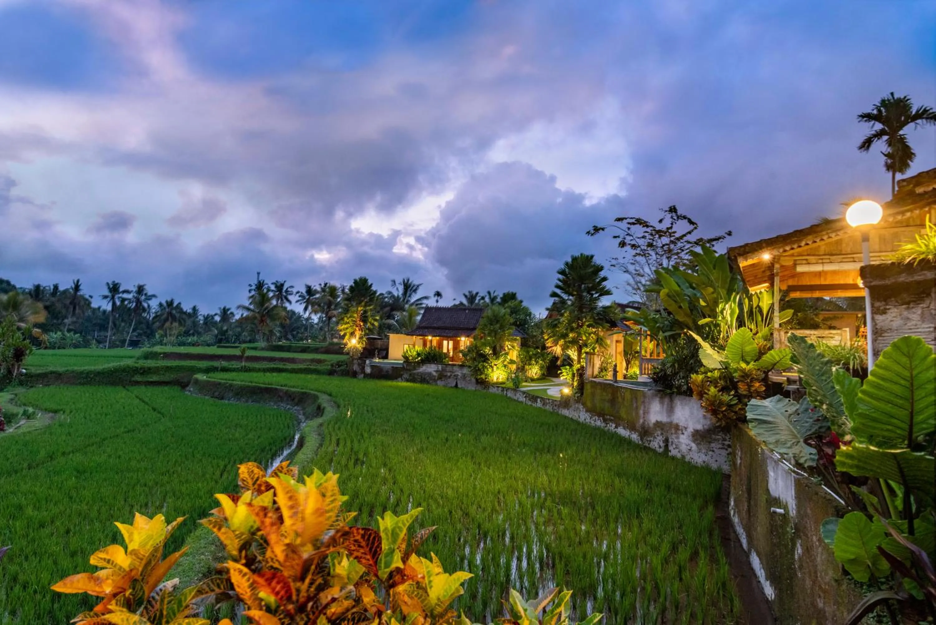 Natural landscape in Taksu Sebatu Villa by Dhananjaya Hospitality