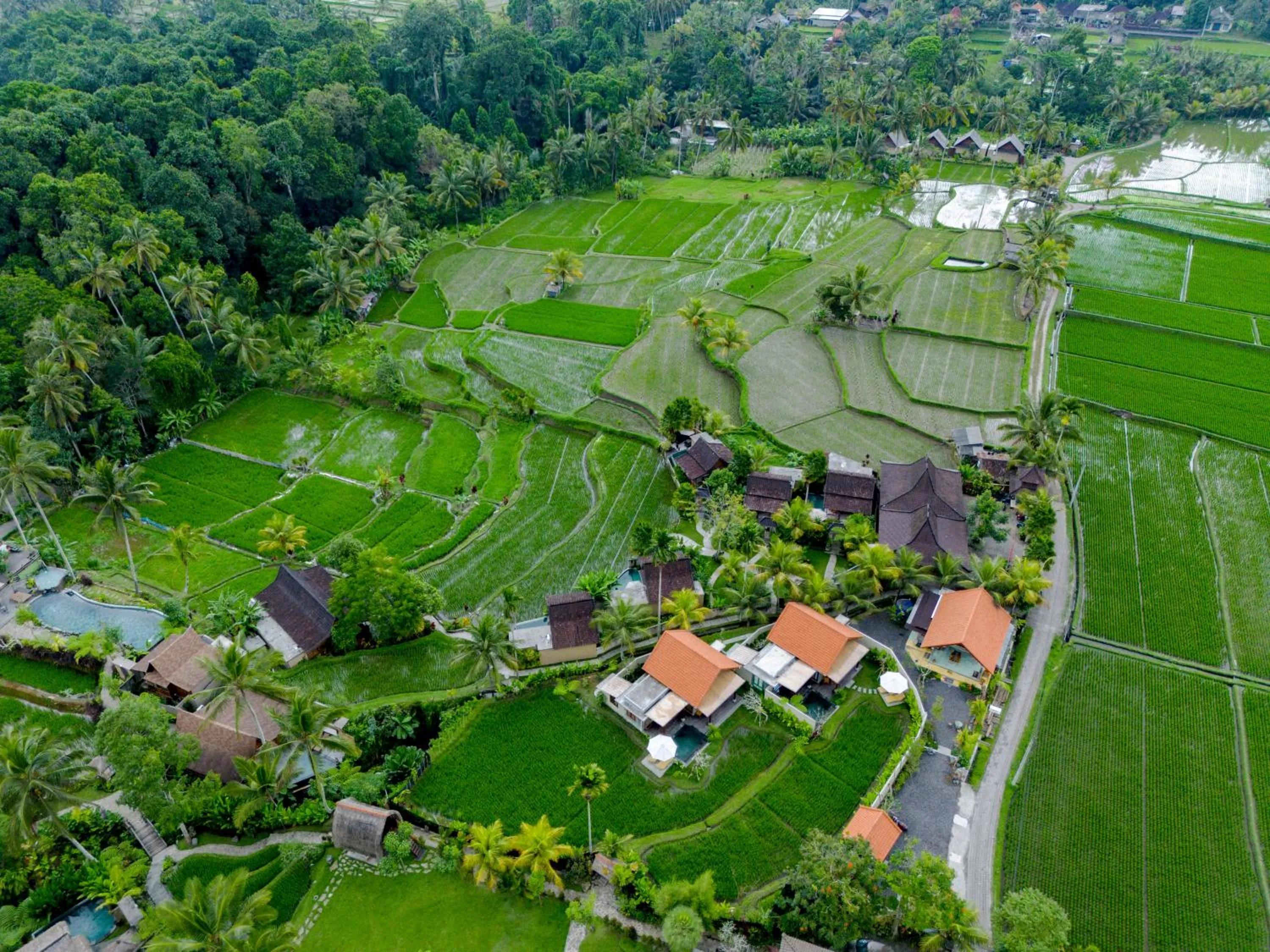 Natural landscape in Taksu Sebatu Villa by Dhananjaya Hospitality