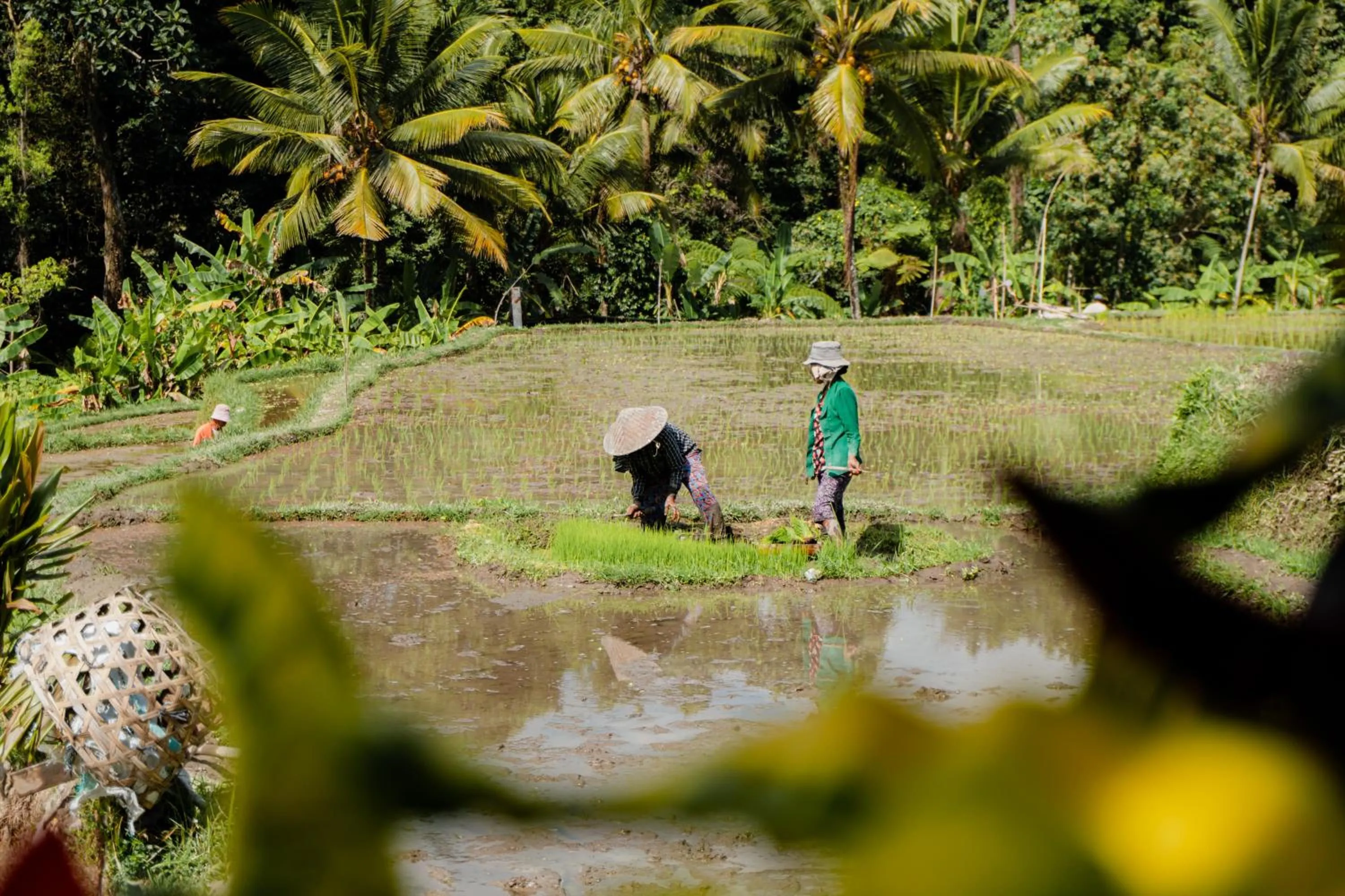Day in Taksu Sebatu Villa by Dhananjaya Hospitality