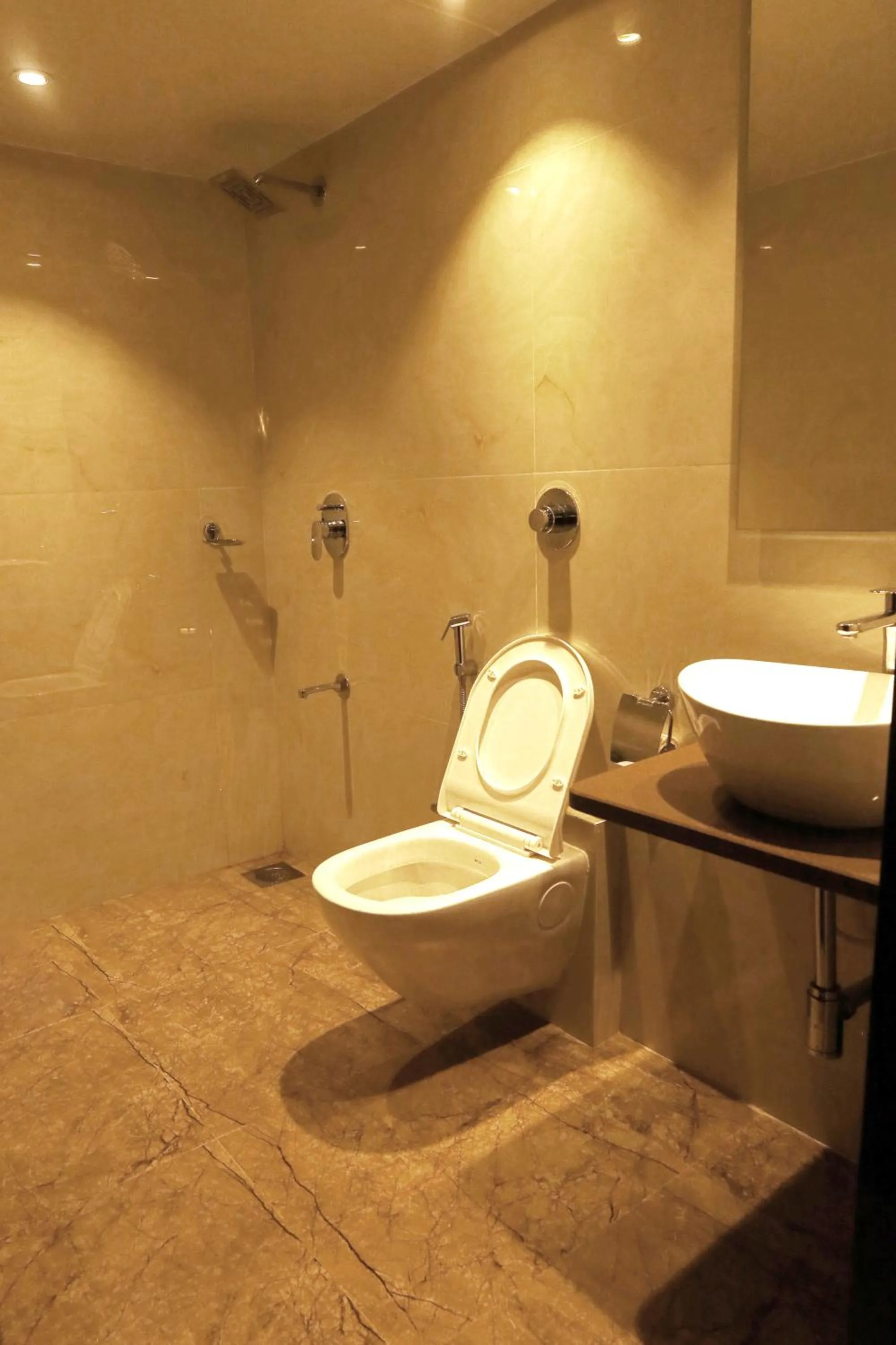 Toilet in Hotel Prestige Residency