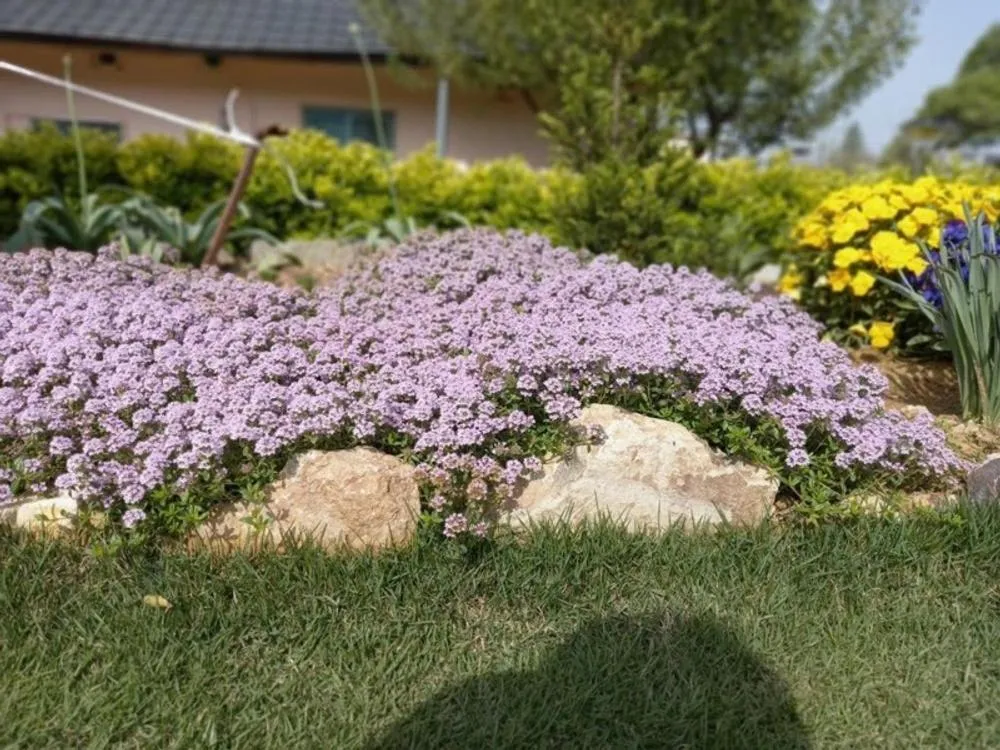 Naju DorandoranHouse Hanok