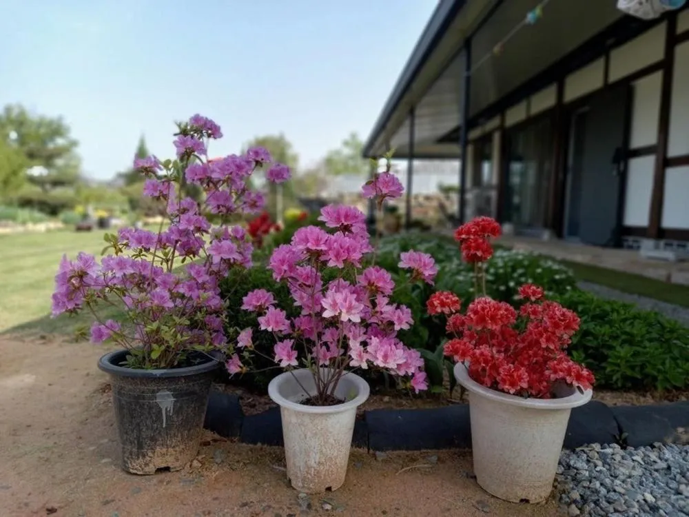 Naju DorandoranHouse Hanok