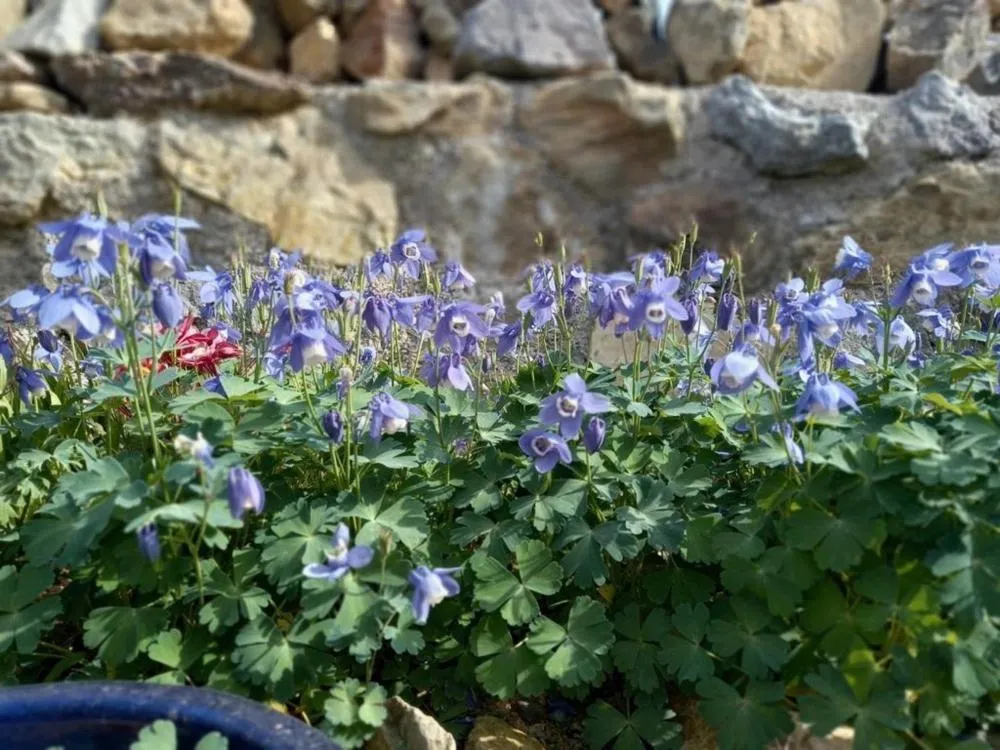 Naju DorandoranHouse Hanok