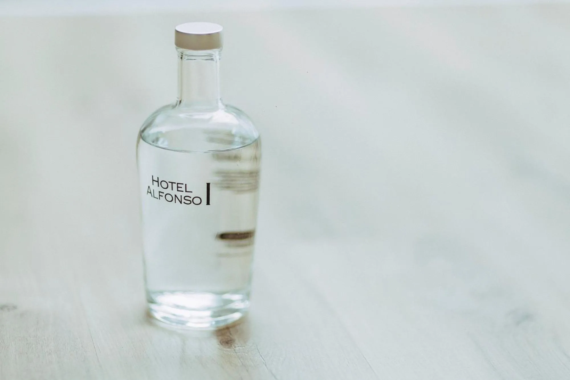 Area and facilities in Hotel Alfonso I