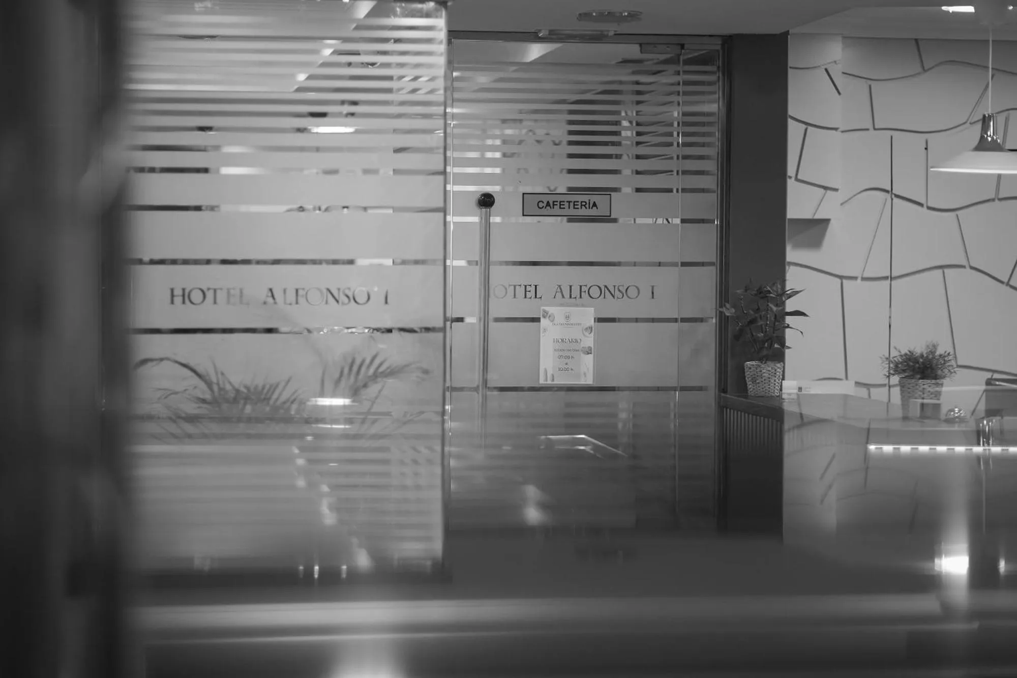 Area and facilities in Hotel Alfonso I