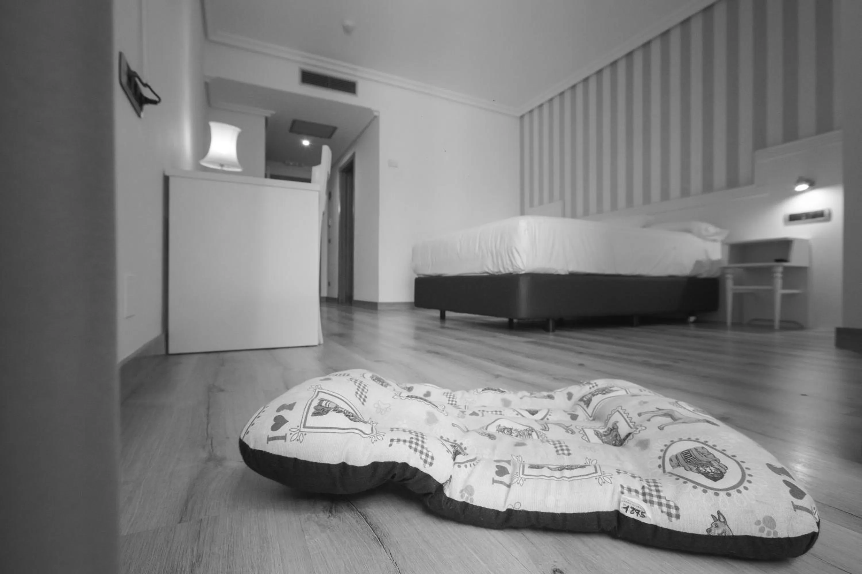 Pets in Hotel Alfonso I