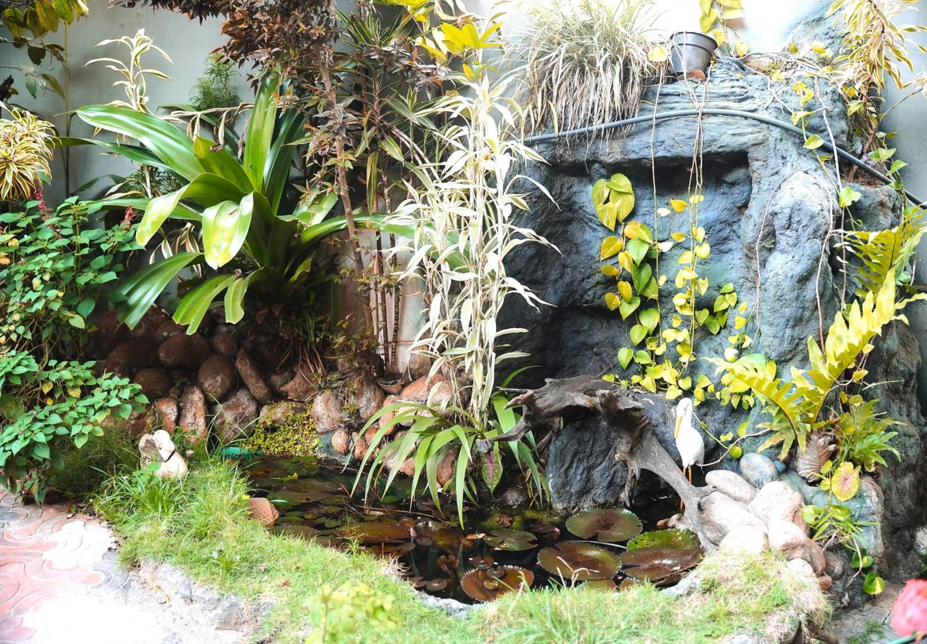 Spring in Dean Dale Cottages