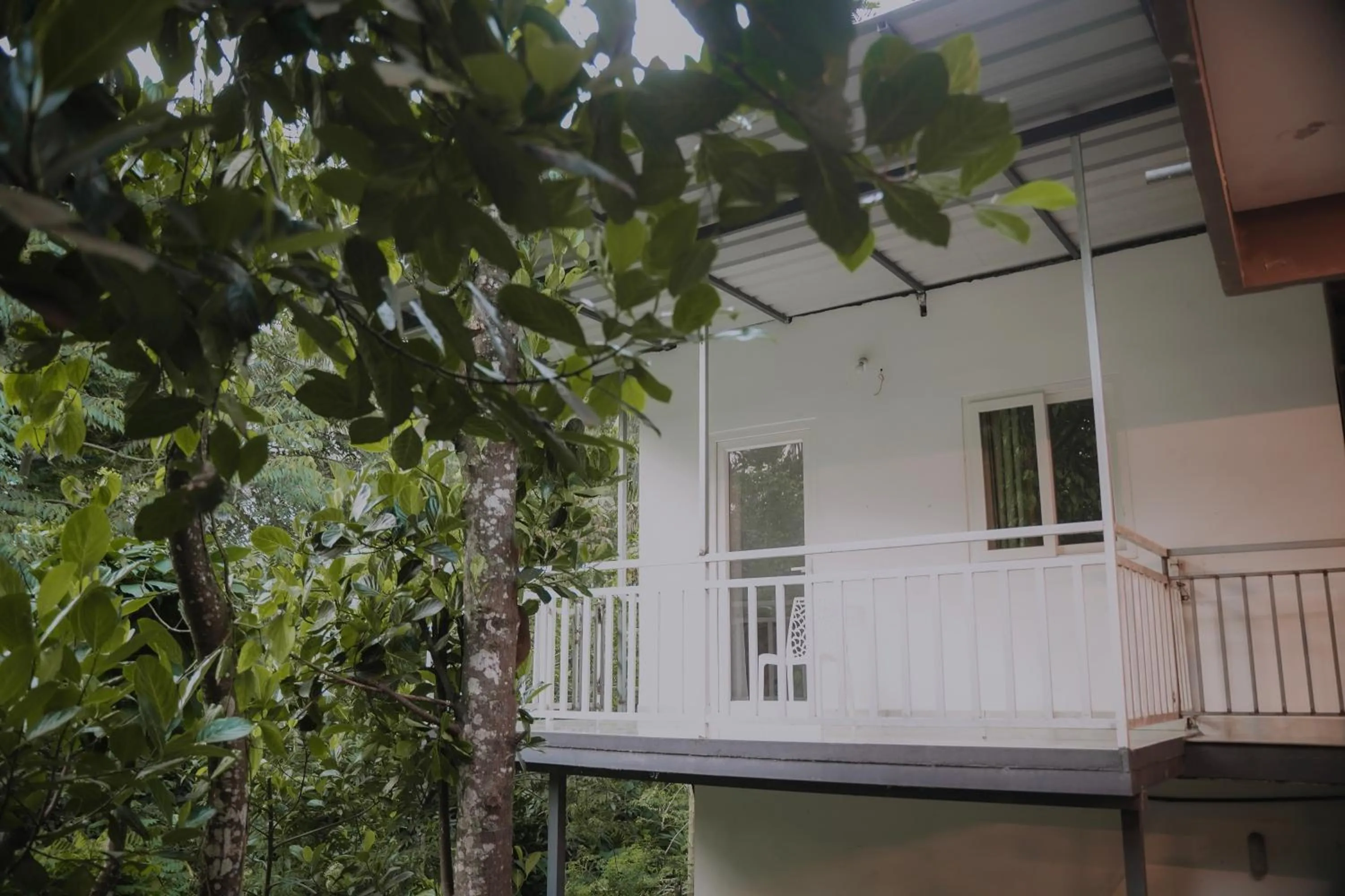 Property building in Dean Dale Cottages