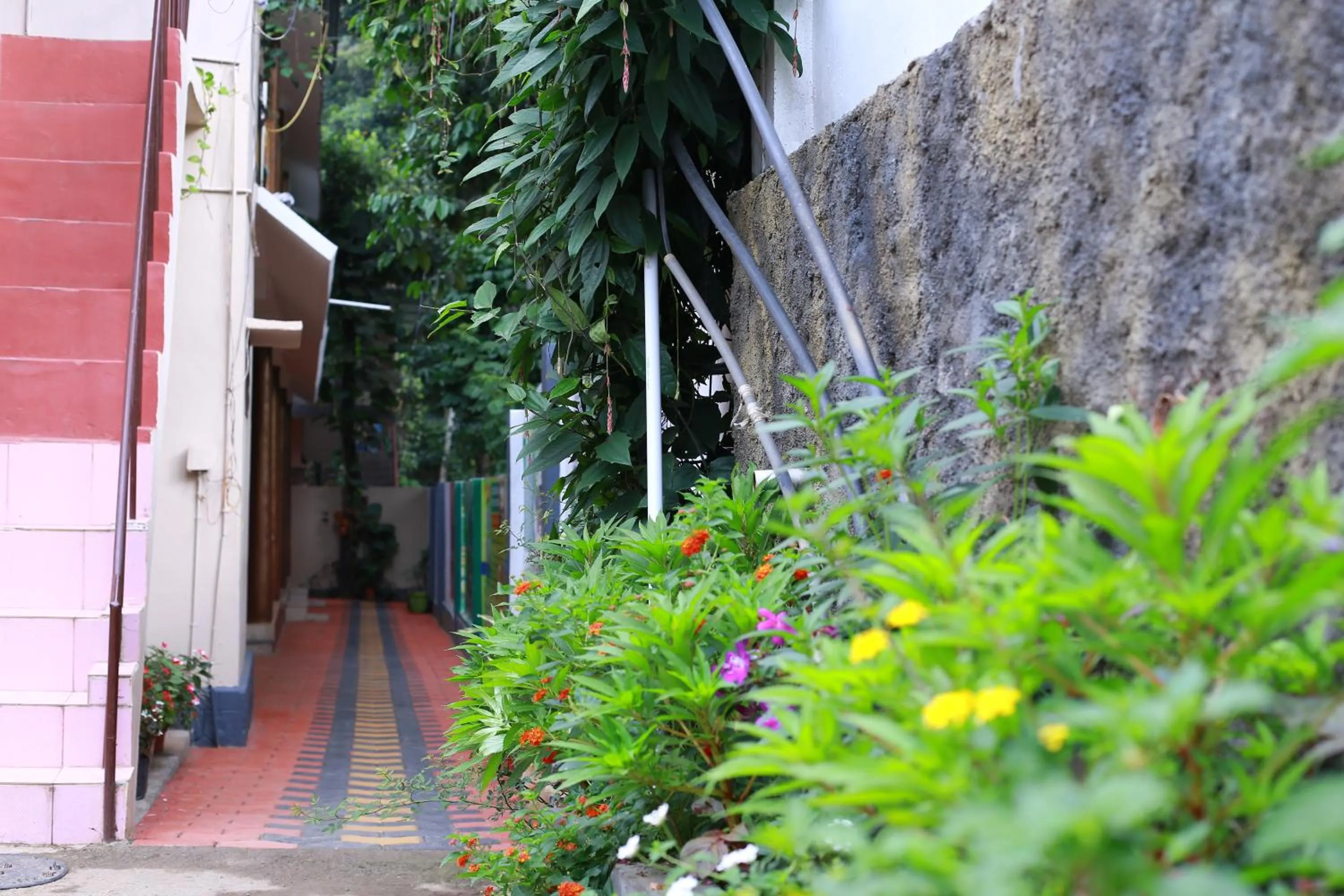 Property building in Dean Dale Cottages
