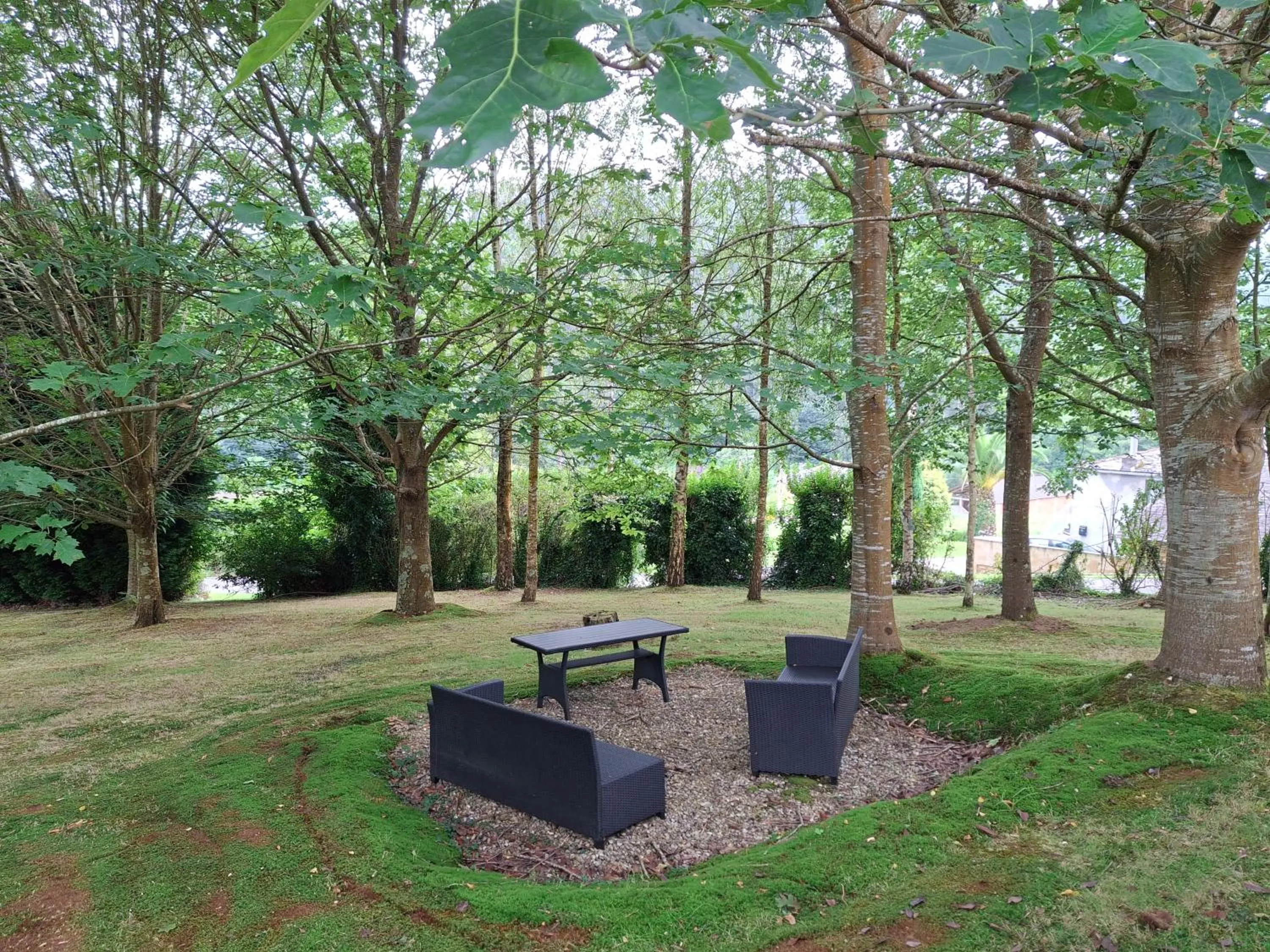 Garden in Casa Doñano