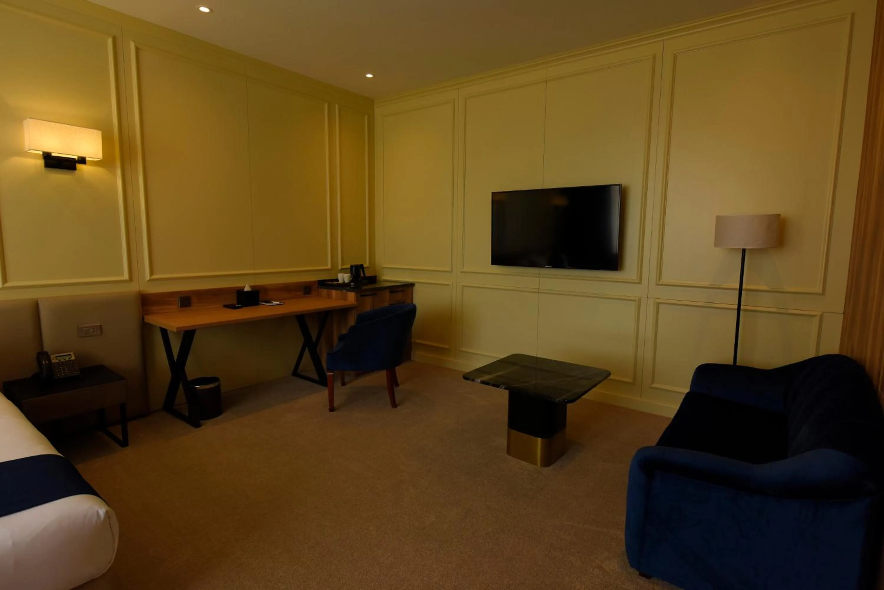 TV and multimedia in Ulaanbaatar Hotel