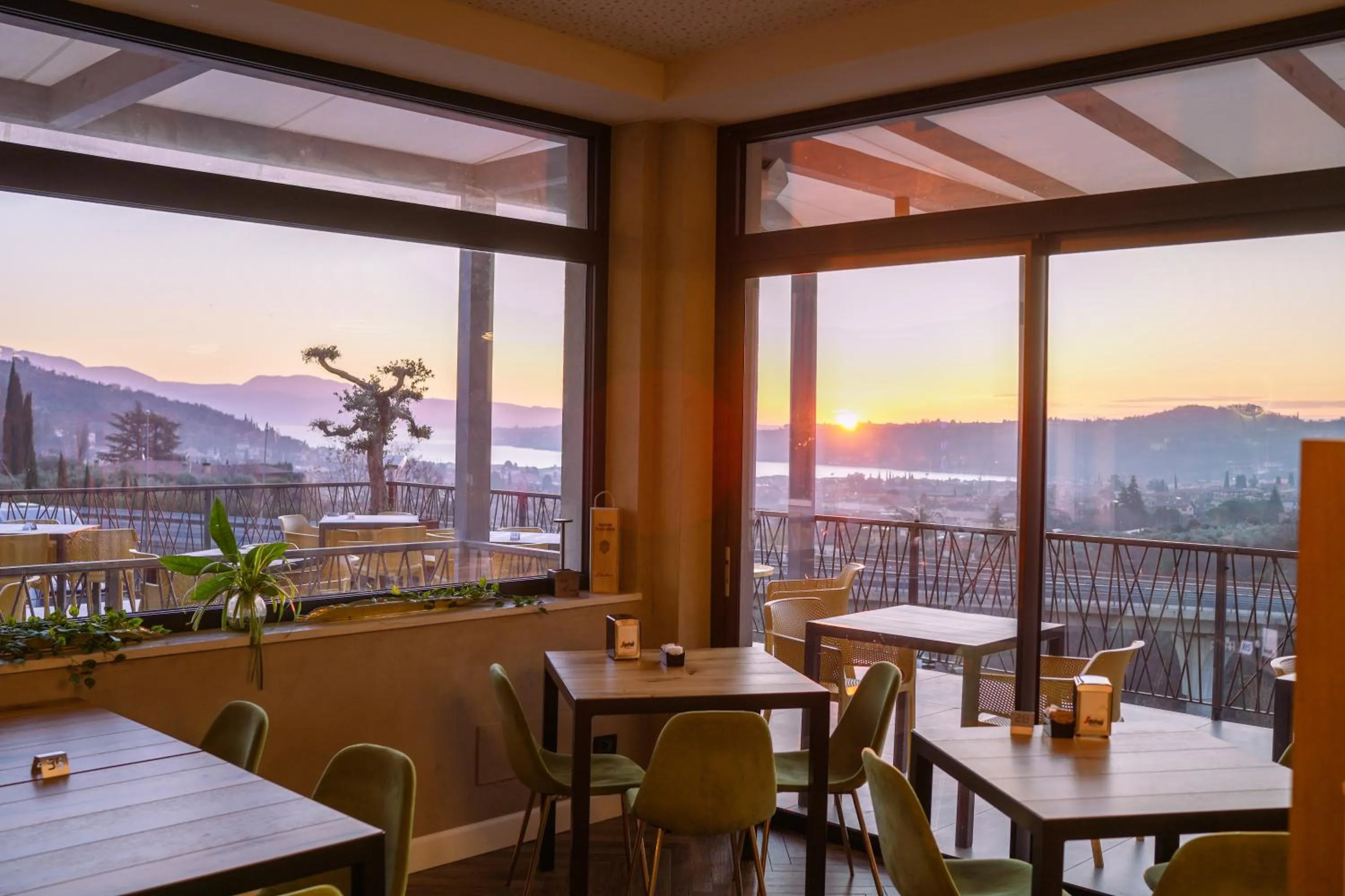 Lounge or bar in Hotel Vita
