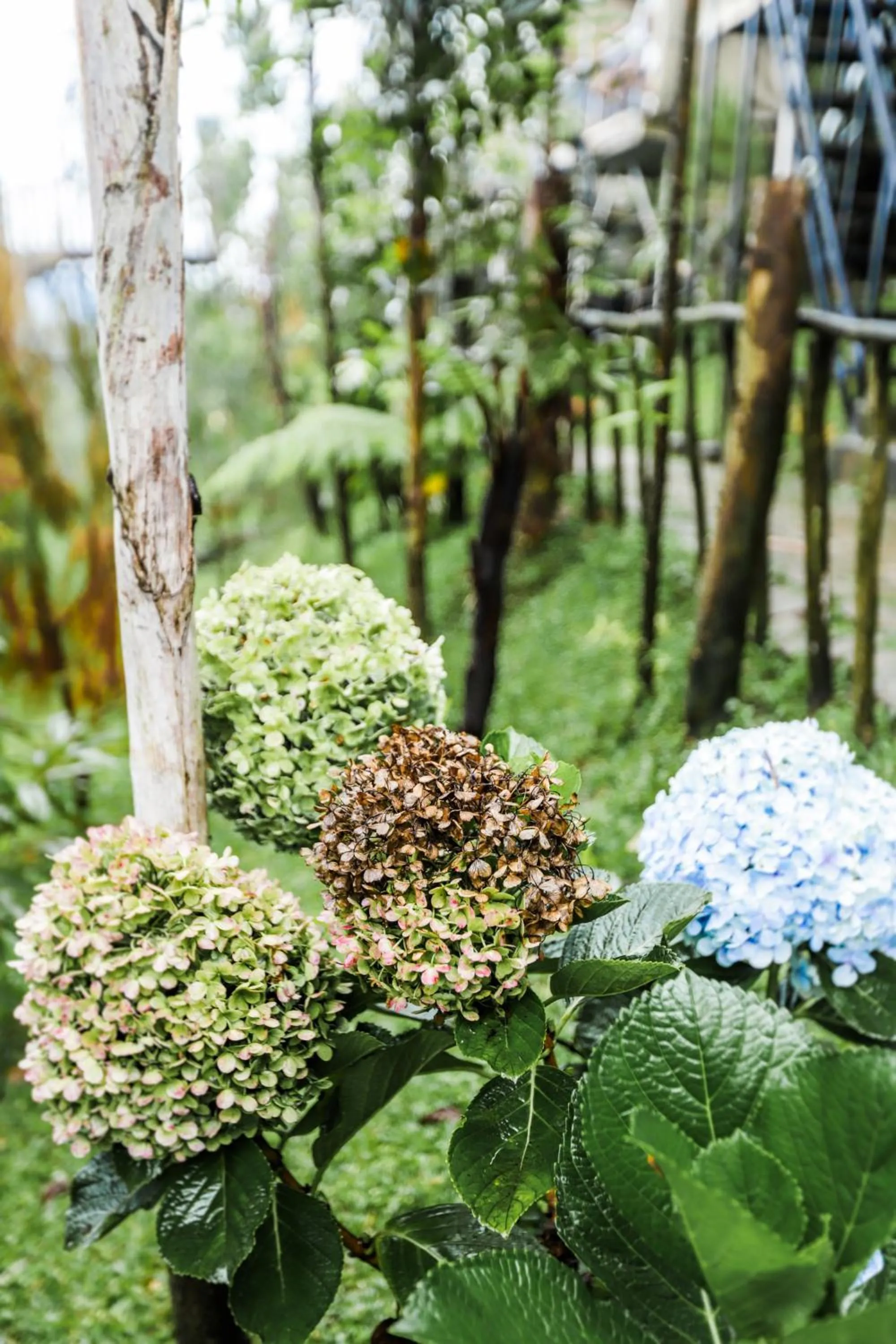 Garden in Green Panorama Resort by MHM