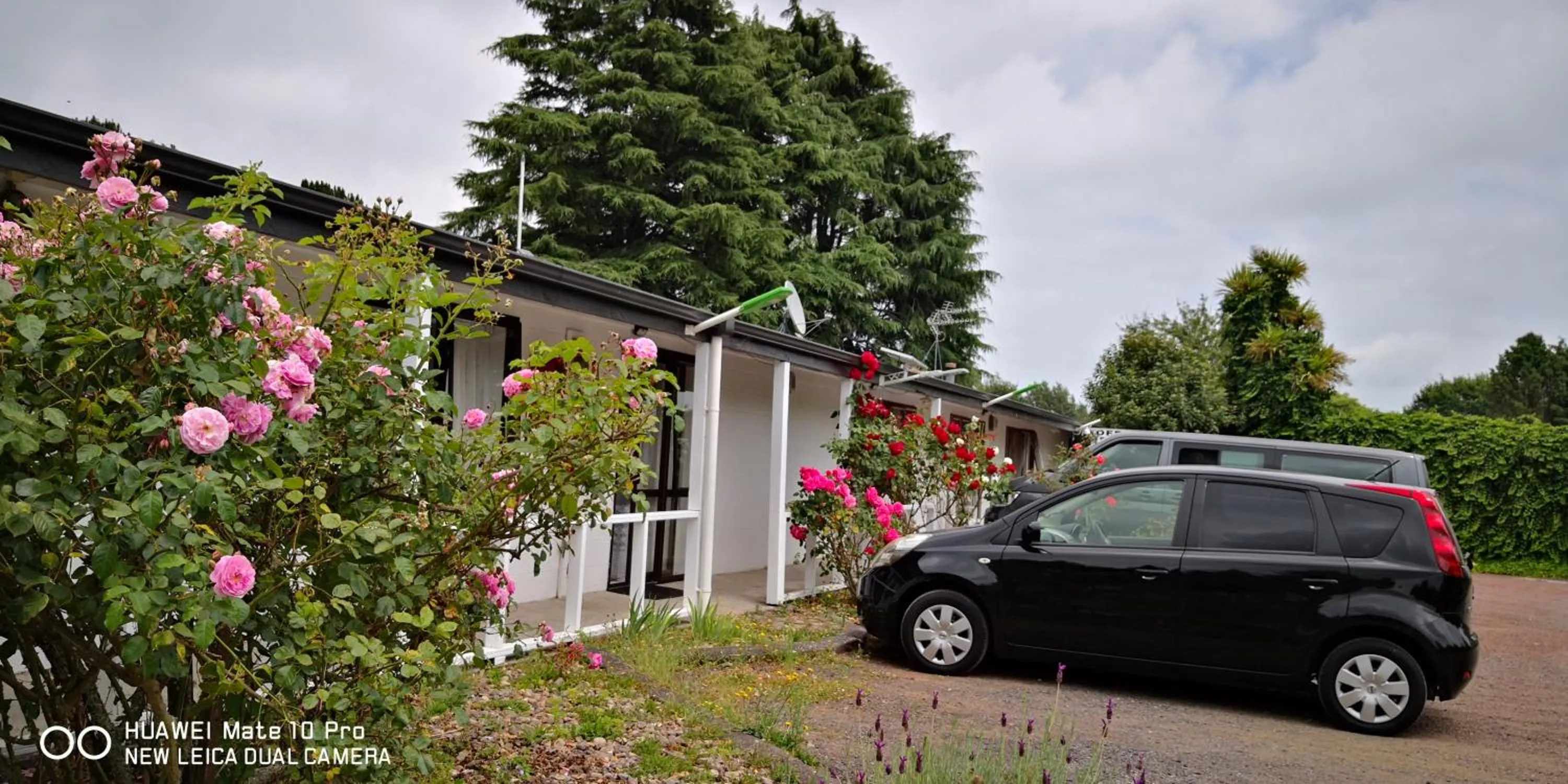 Amisfield motel