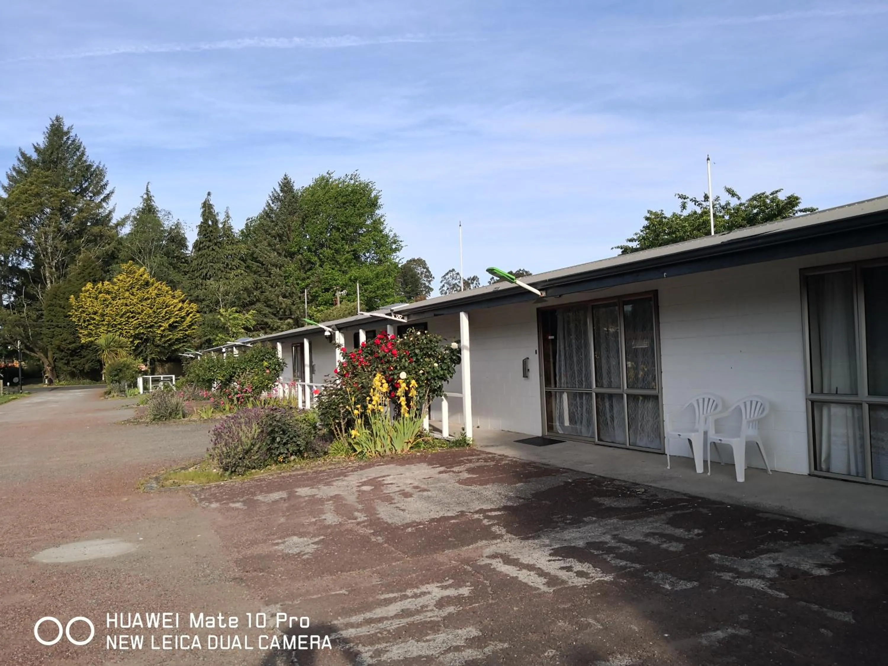 Amisfield motel