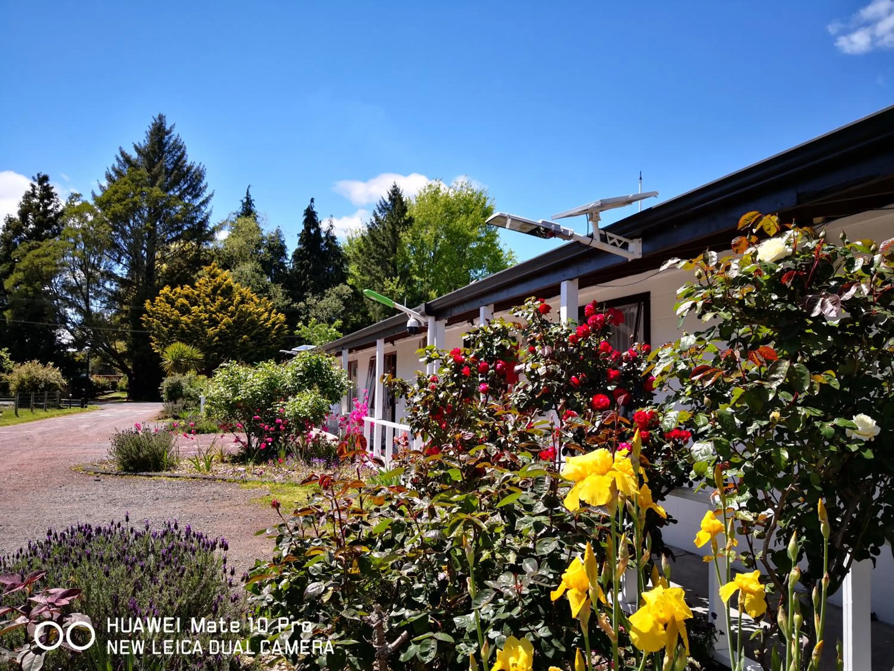 Amisfield motel