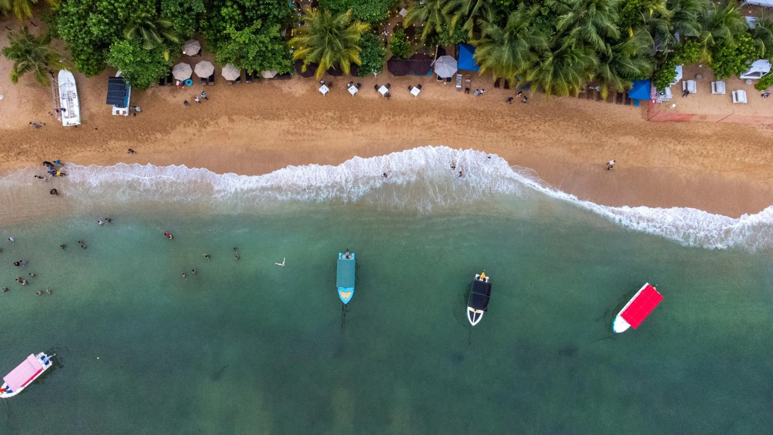 Natural landscape in New Wave Beach Resort Unawatuna