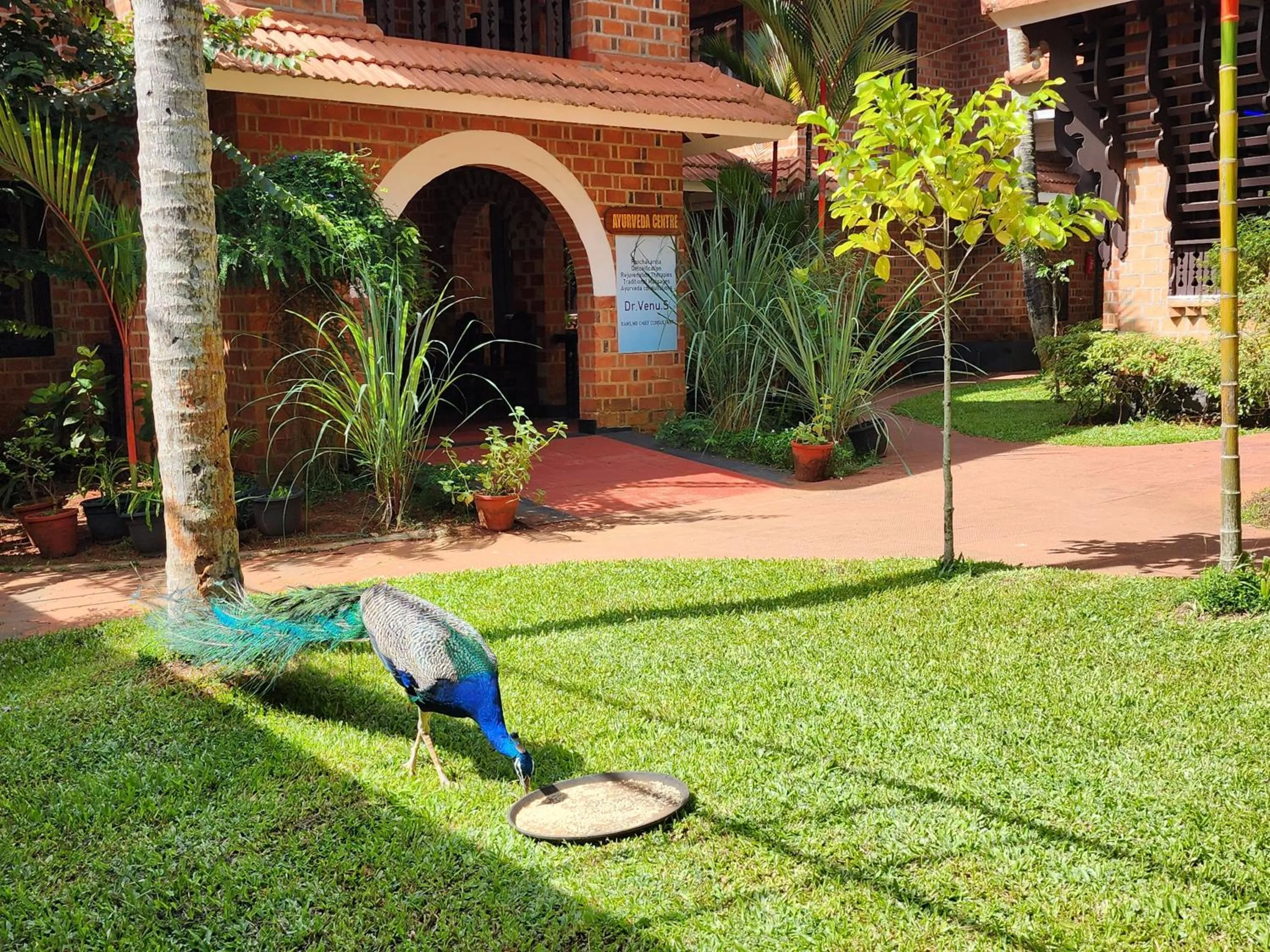 Natural landscape in God's Own country Kovalam By Bestinn Leisure