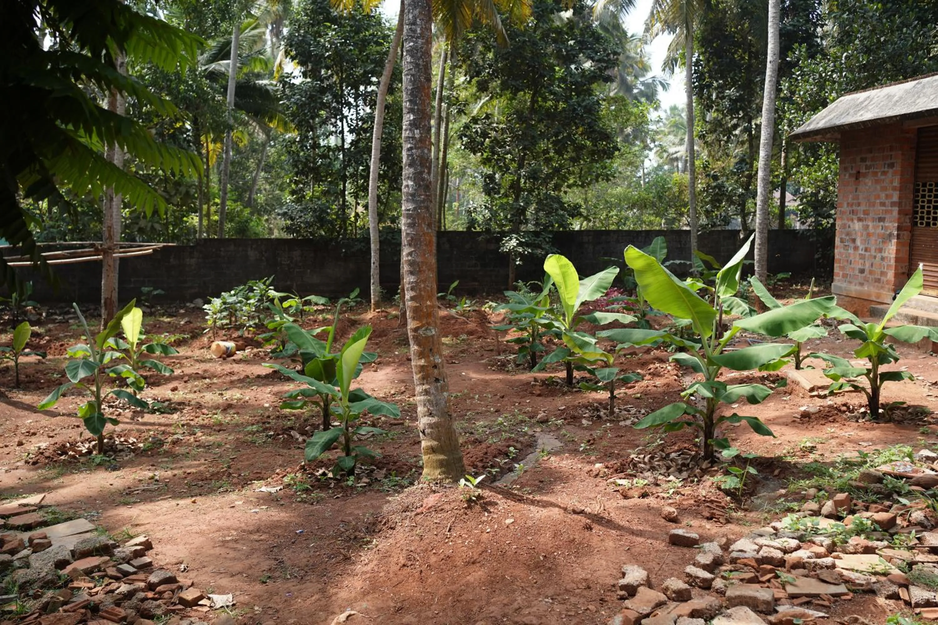 Garden in God's Own country Kovalam By Bestinn Leisure