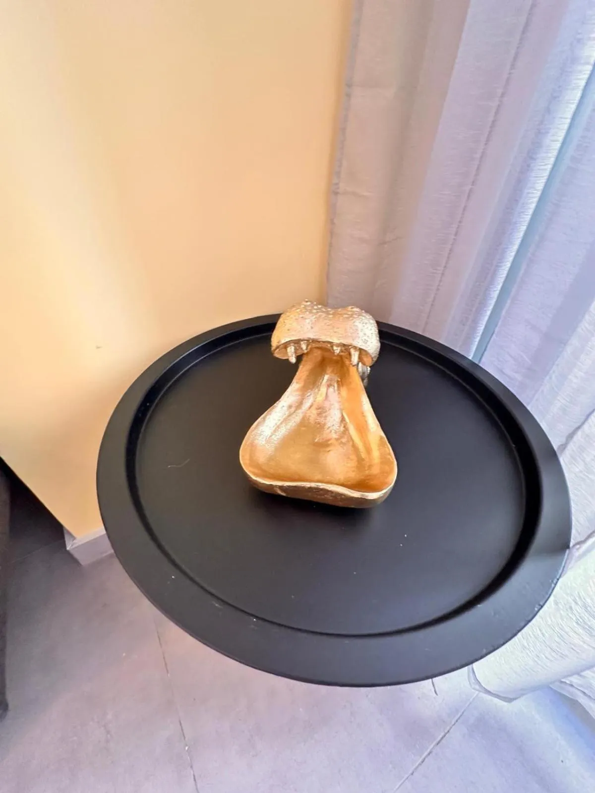 Studio Coeur Delille FSHH