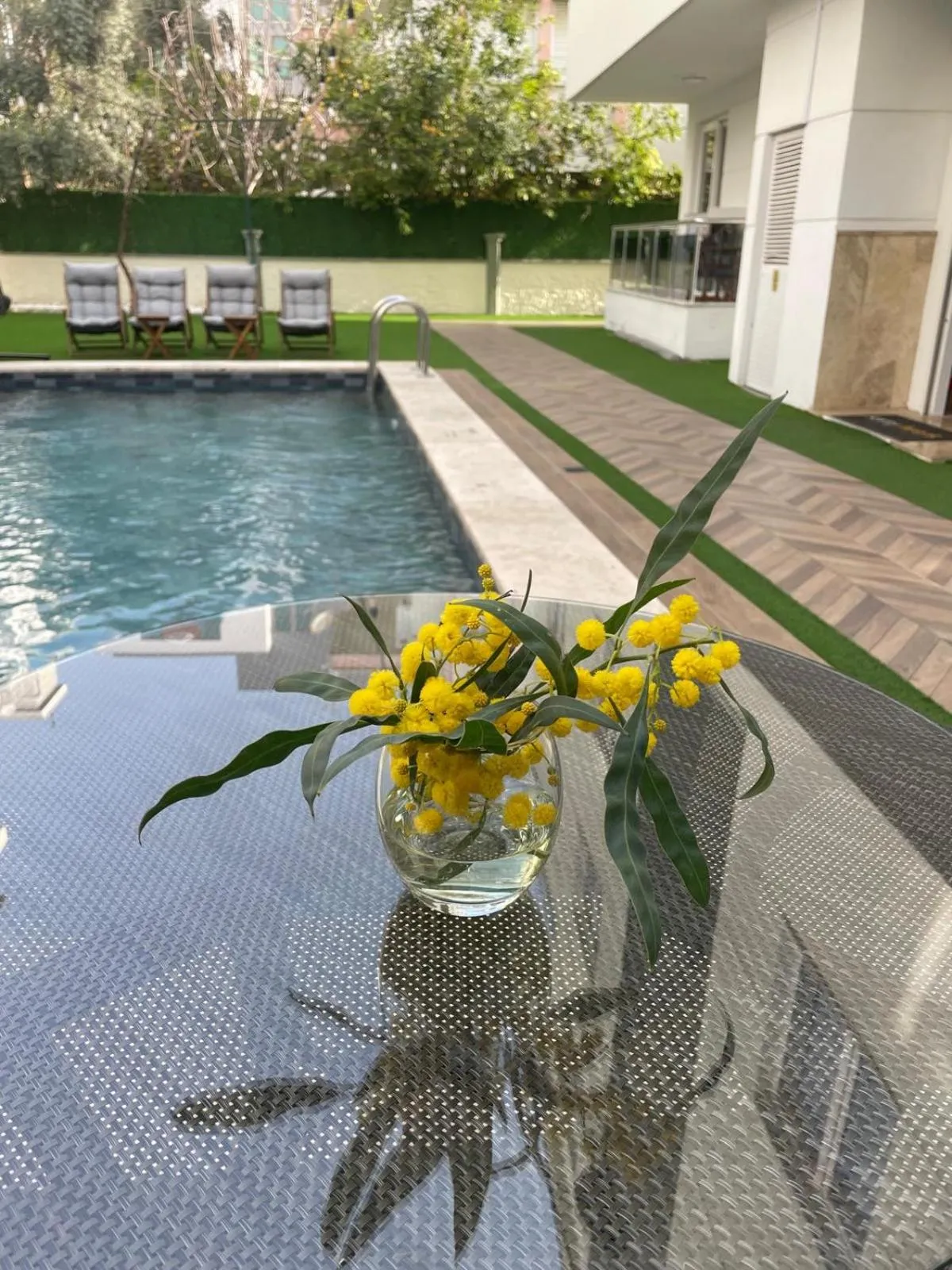 Garden in Sorta Hotel