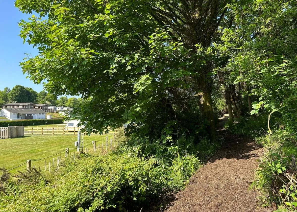 Property building in Calloose Holiday Park