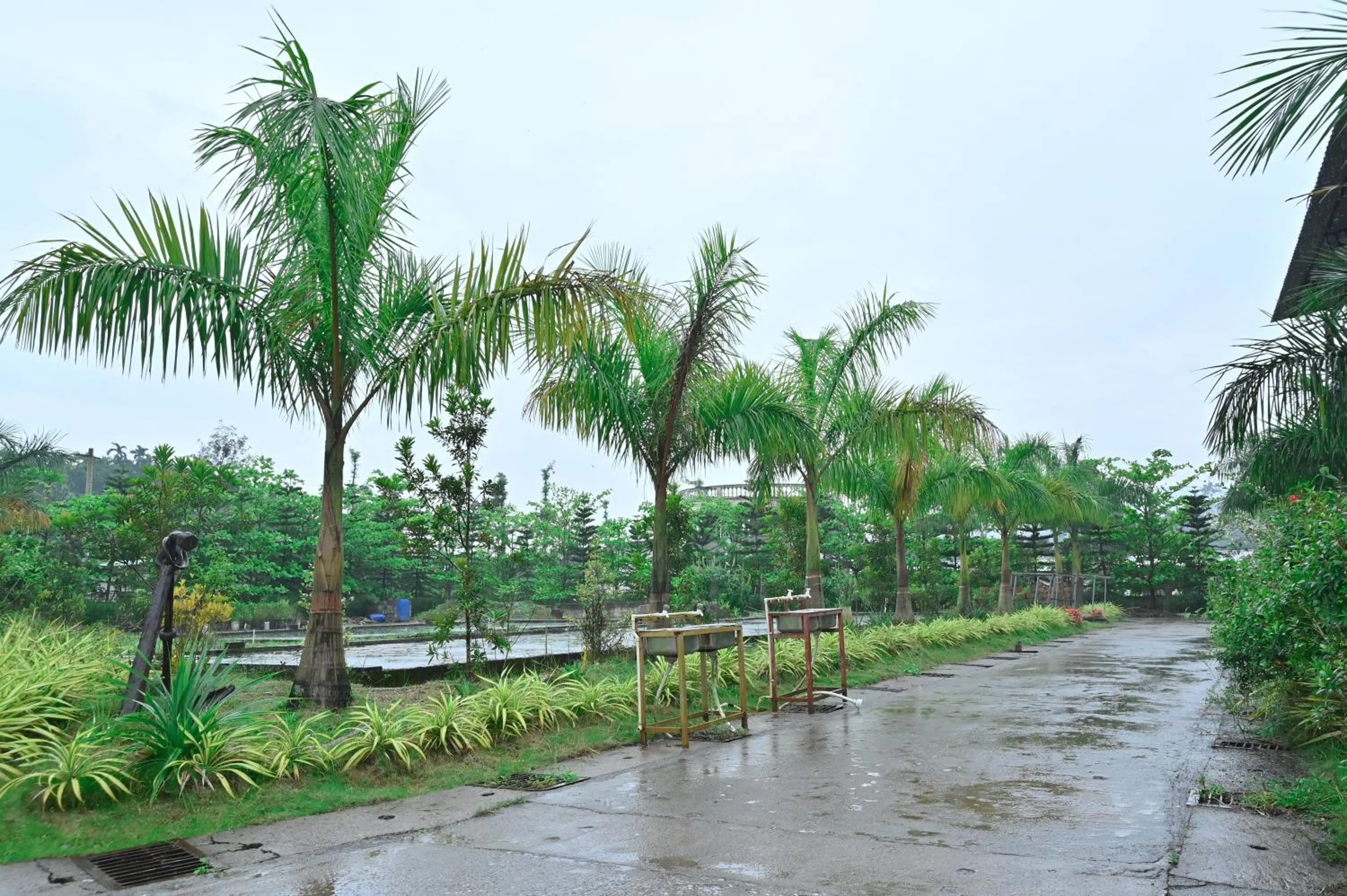 View (from property/room) in NAVARATHNA International resort