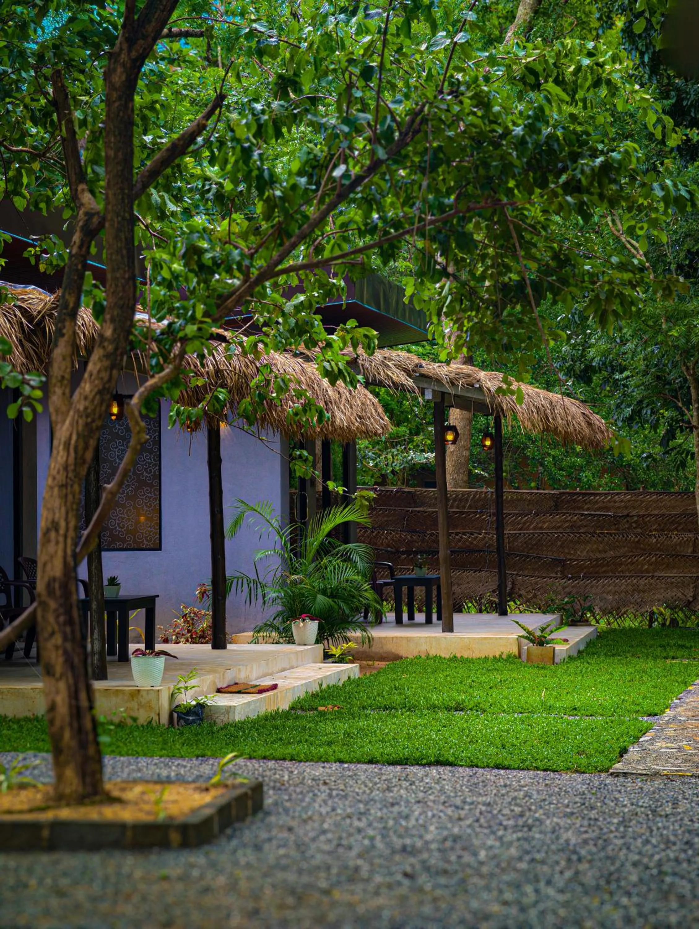Ivory Safari House