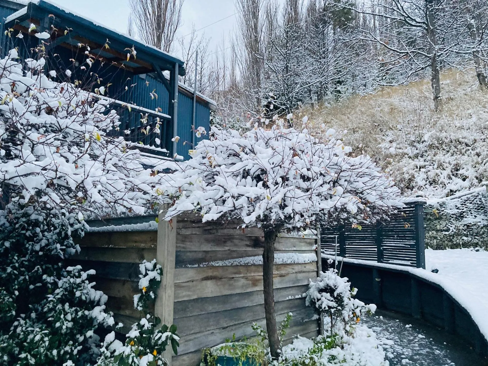 Moonlight Escape Lodge