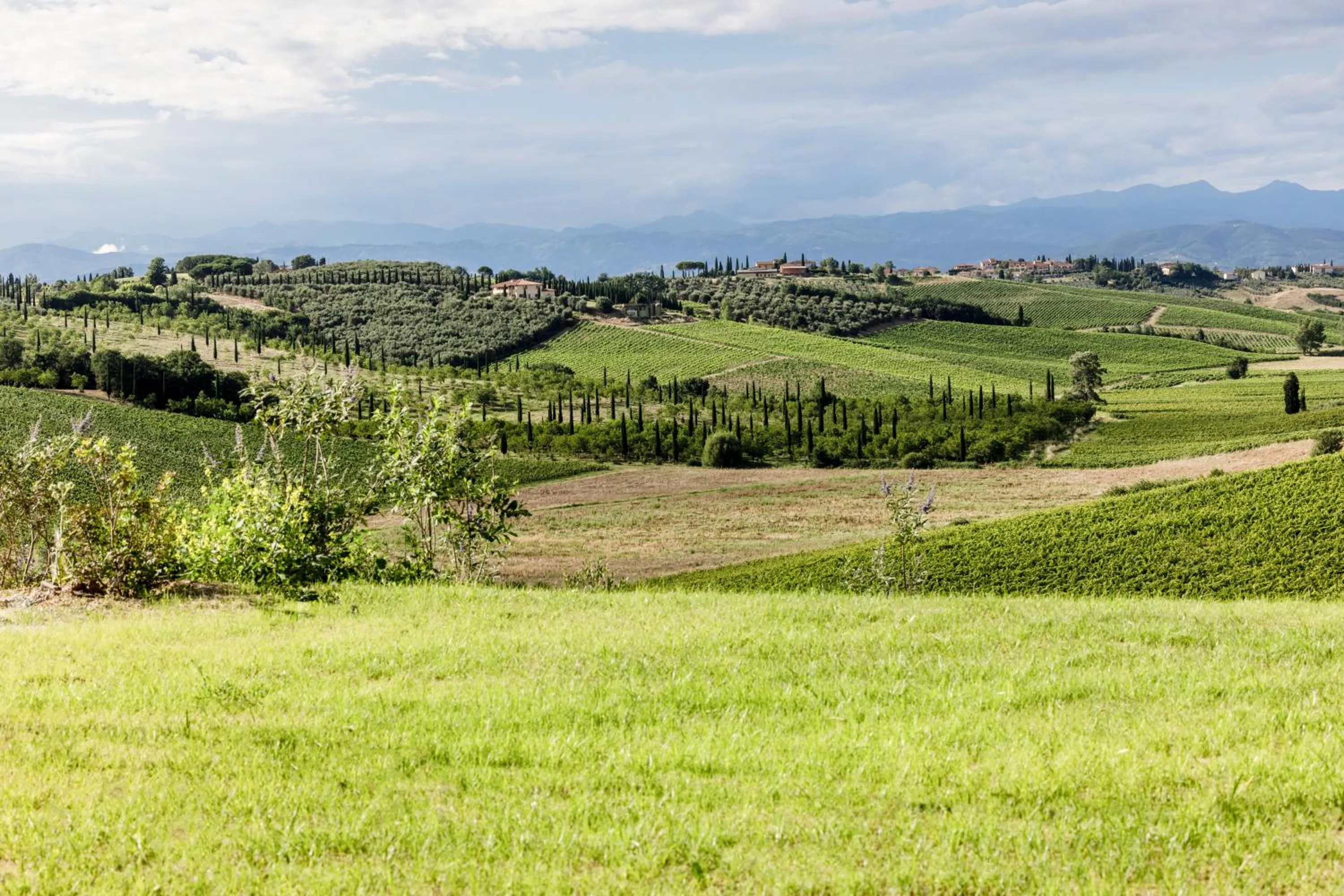 Nearby landmark in Colle Alberti Country House
