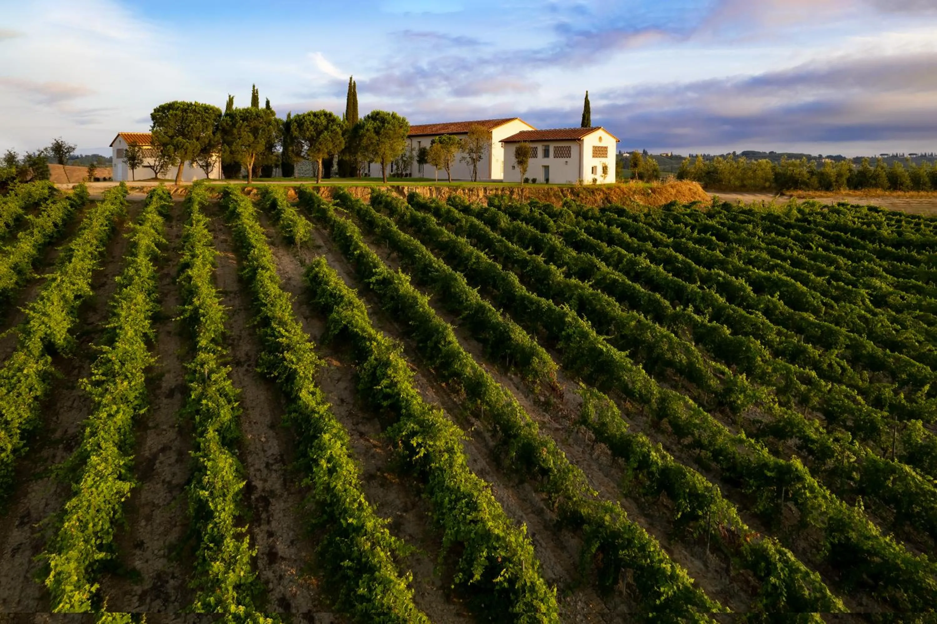 Property building in Colle Alberti Country House