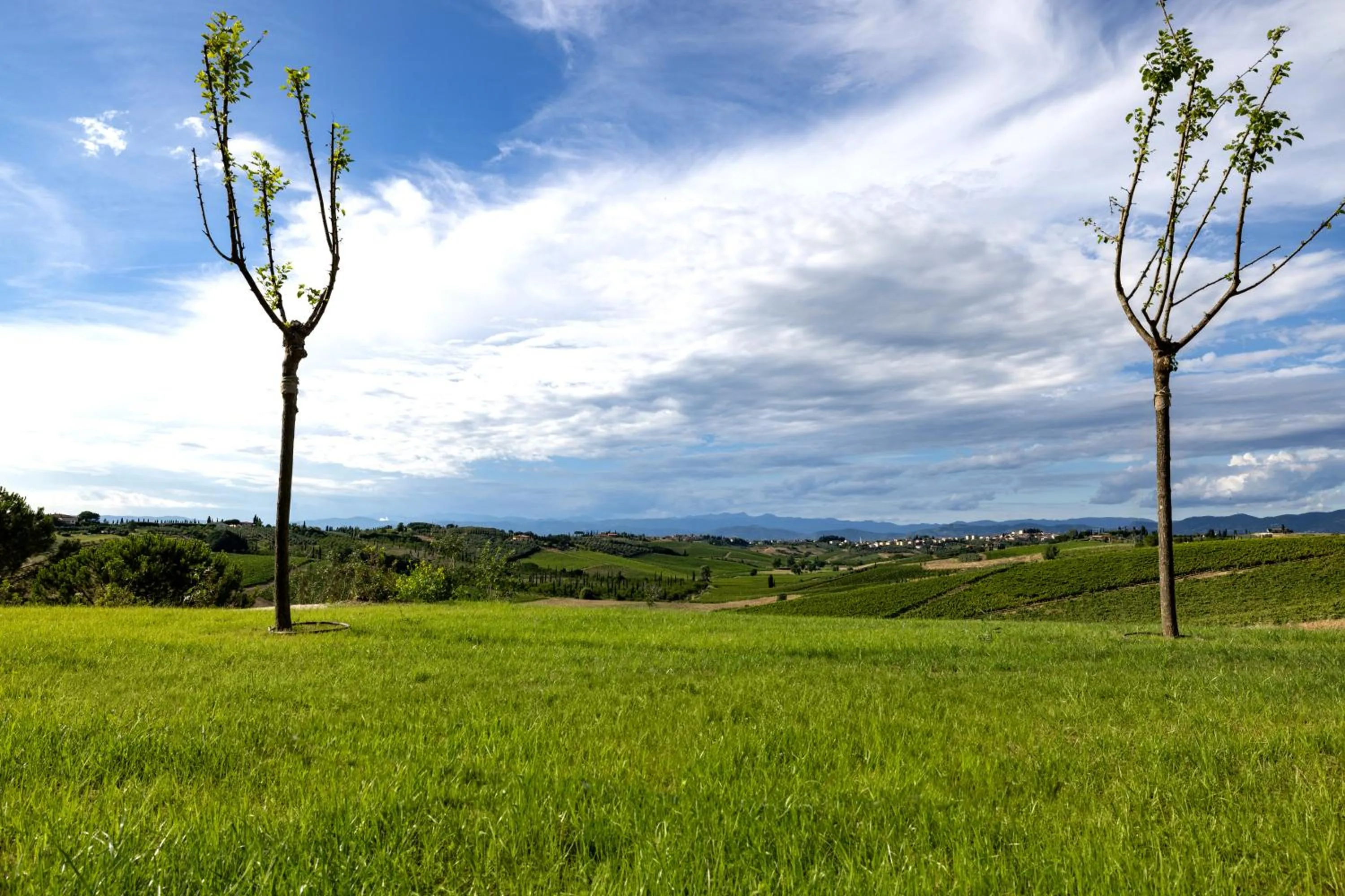 Hiking in Colle Alberti Country House