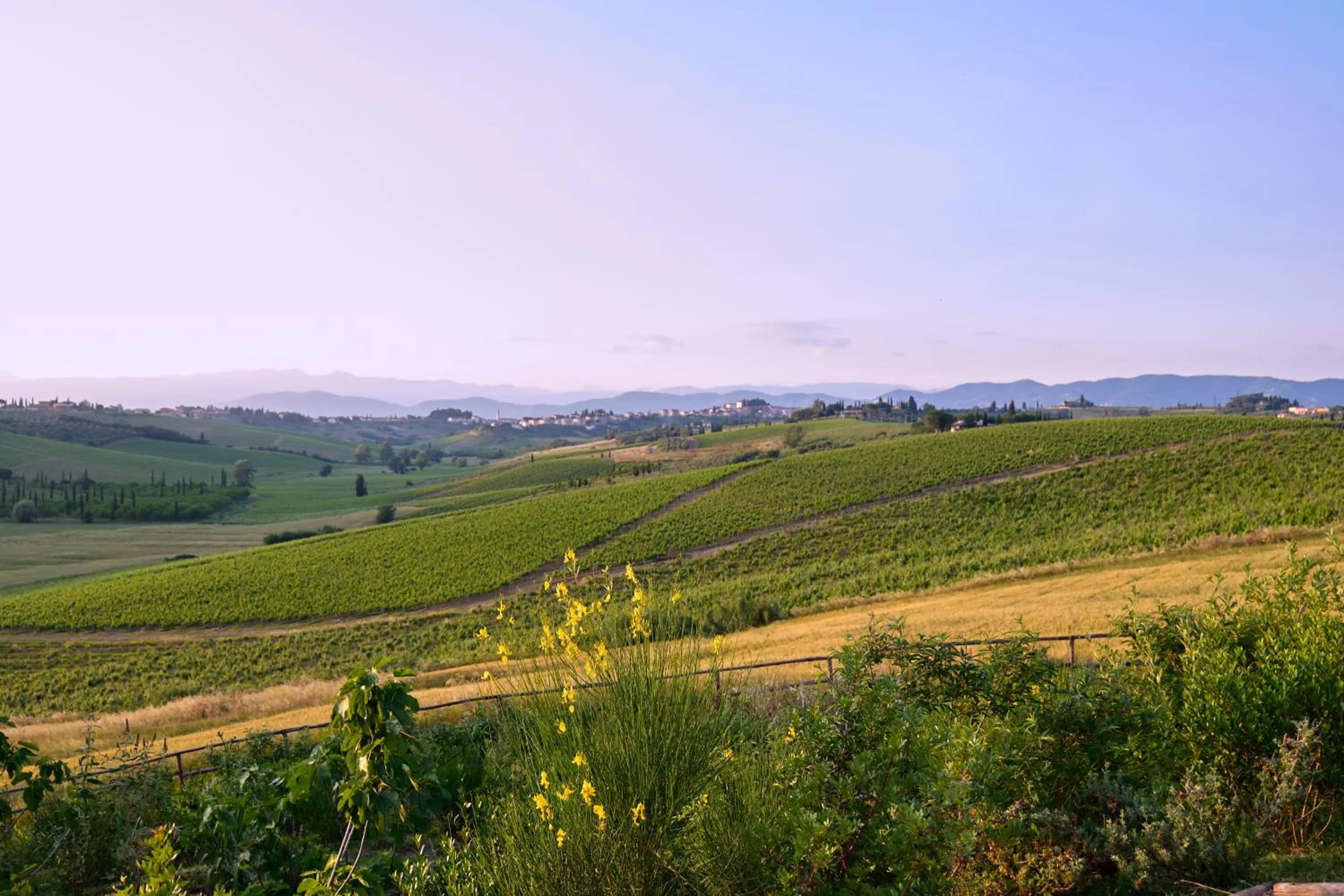 Natural landscape in Colle Alberti Country House