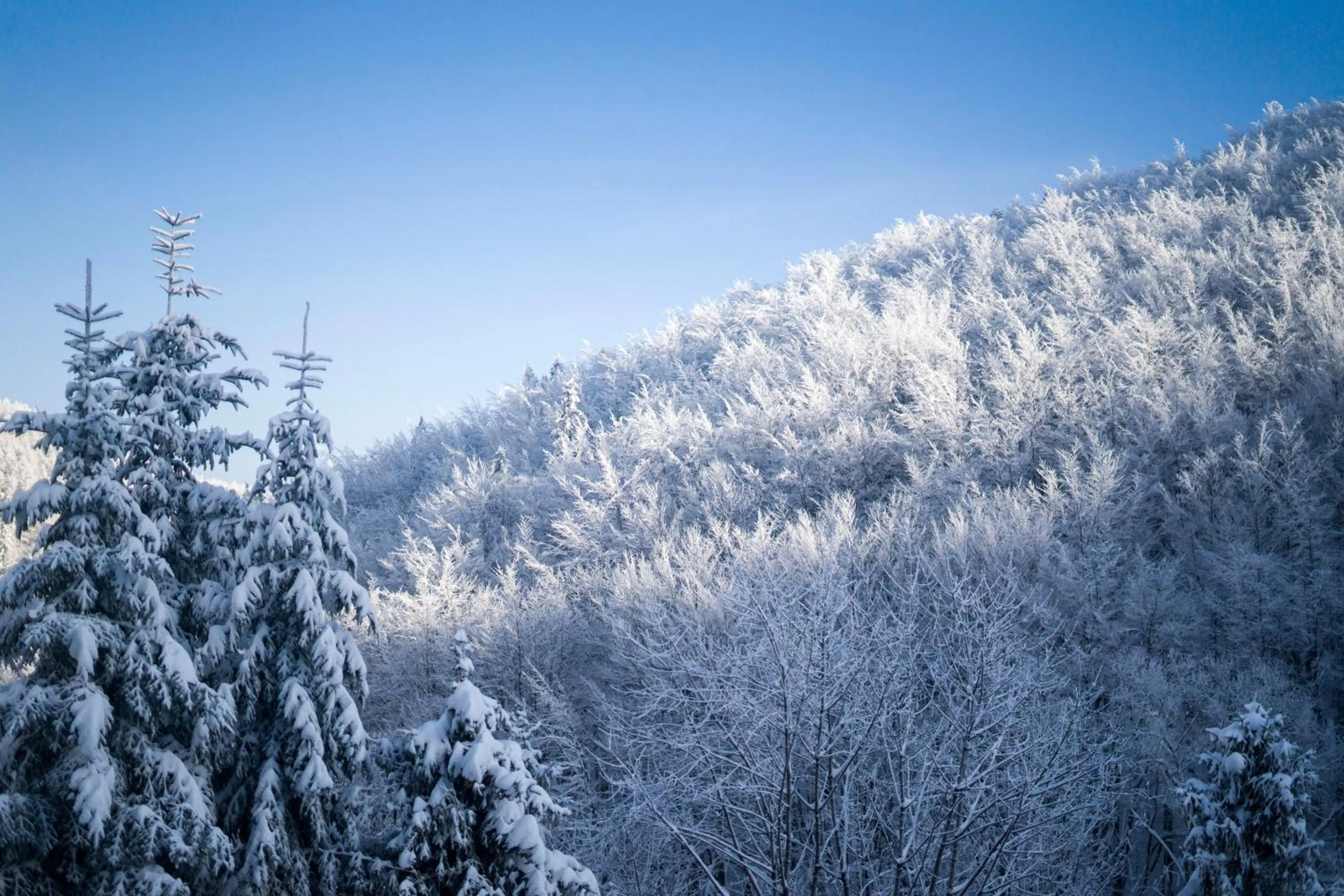 Day in Poniwiec Mała Czantoria