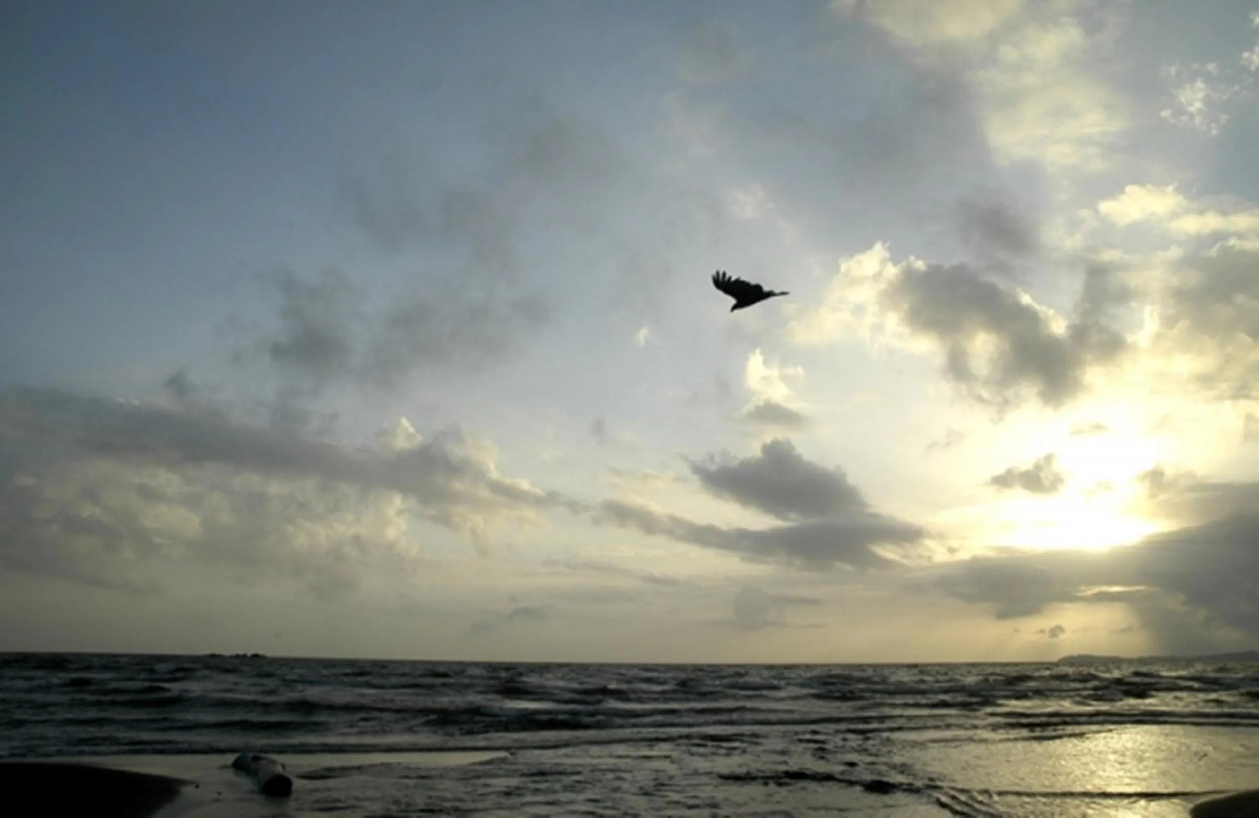 View (from property/room) in Hotel San Juan Ometepe