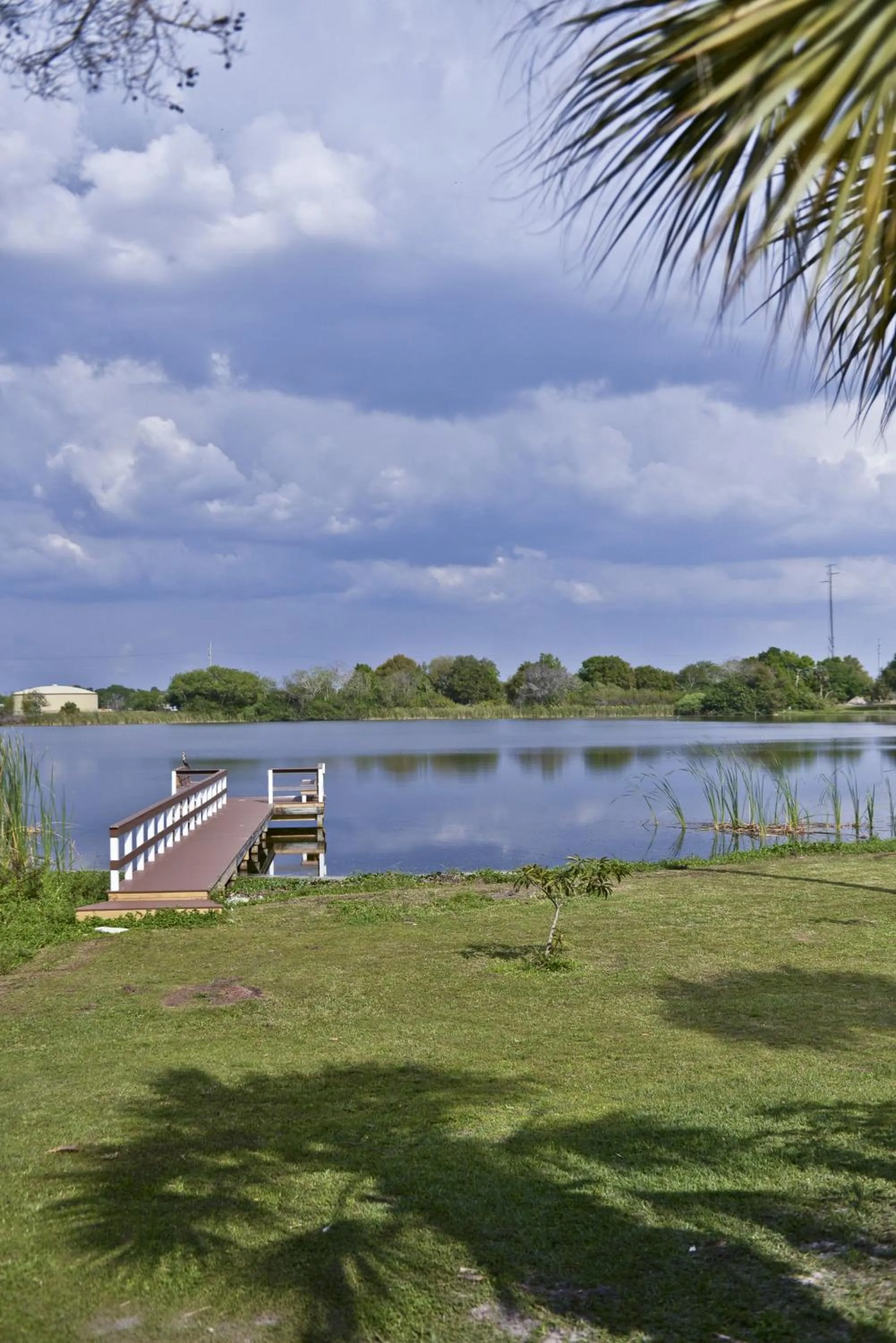 View (from property/room) in Lake Ida Beach Resort